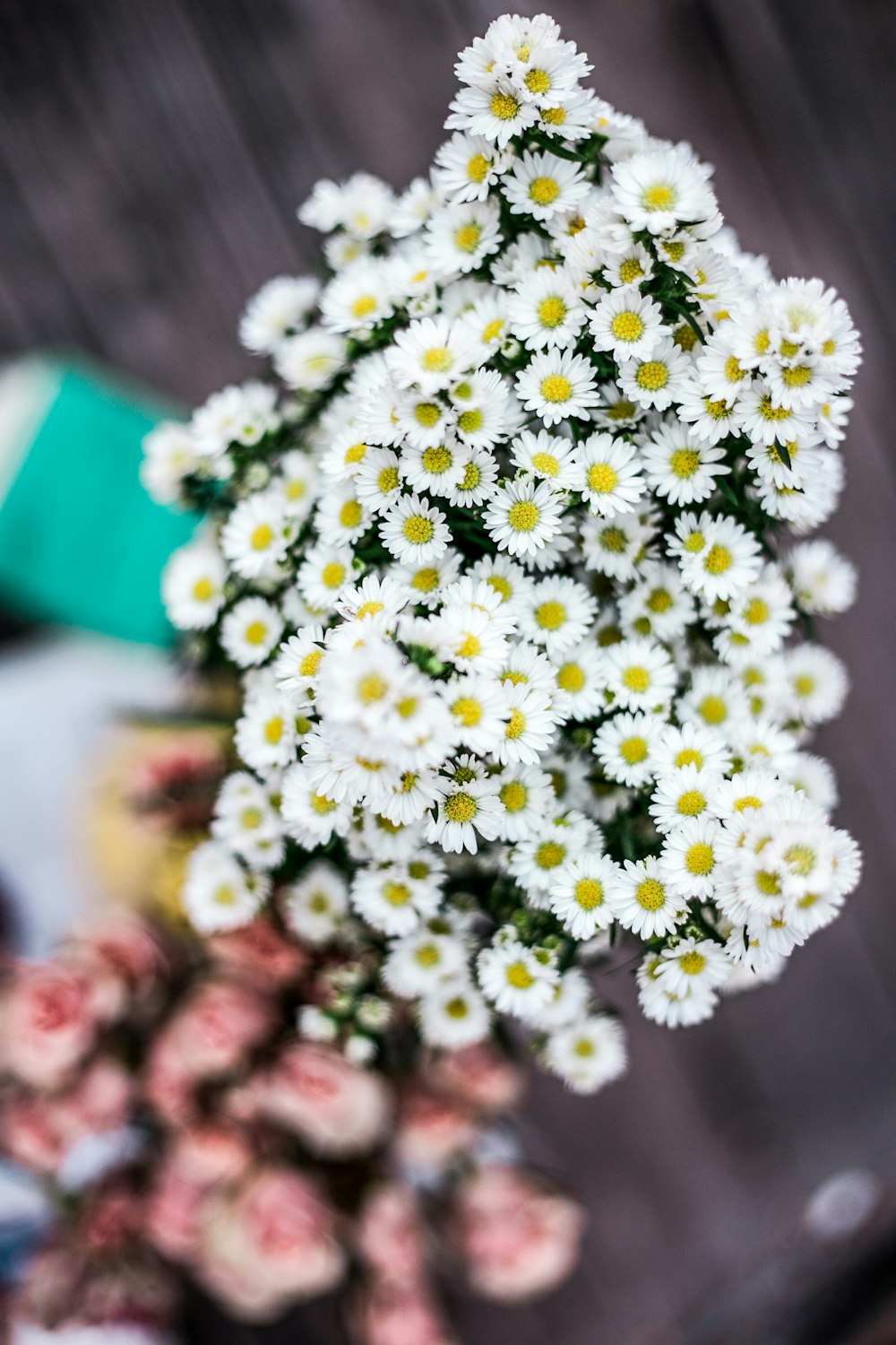 shallow focus of white and yellow flowers during daytime