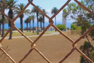 A chain-link fence in the foreground frames a scenic view of palm trees and a lighthouse in the distance. The landscape is bathed in sunlight, and the ocean is visible on the horizon. The ground appears dry and sandy, adding to the coastal atmosphere.