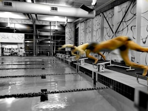 A swimming pool with lanes marked, embedded within an indoor facility with large windows and wall decorations. Multiple swimmers are in mid-air, diving off starting blocks into the pool.