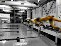 A swimming pool with lanes marked, embedded within an indoor facility with large windows and wall decorations. Multiple swimmers are in mid-air, diving off starting blocks into the pool.