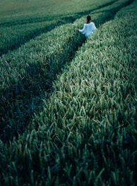 woman standing in wheat field