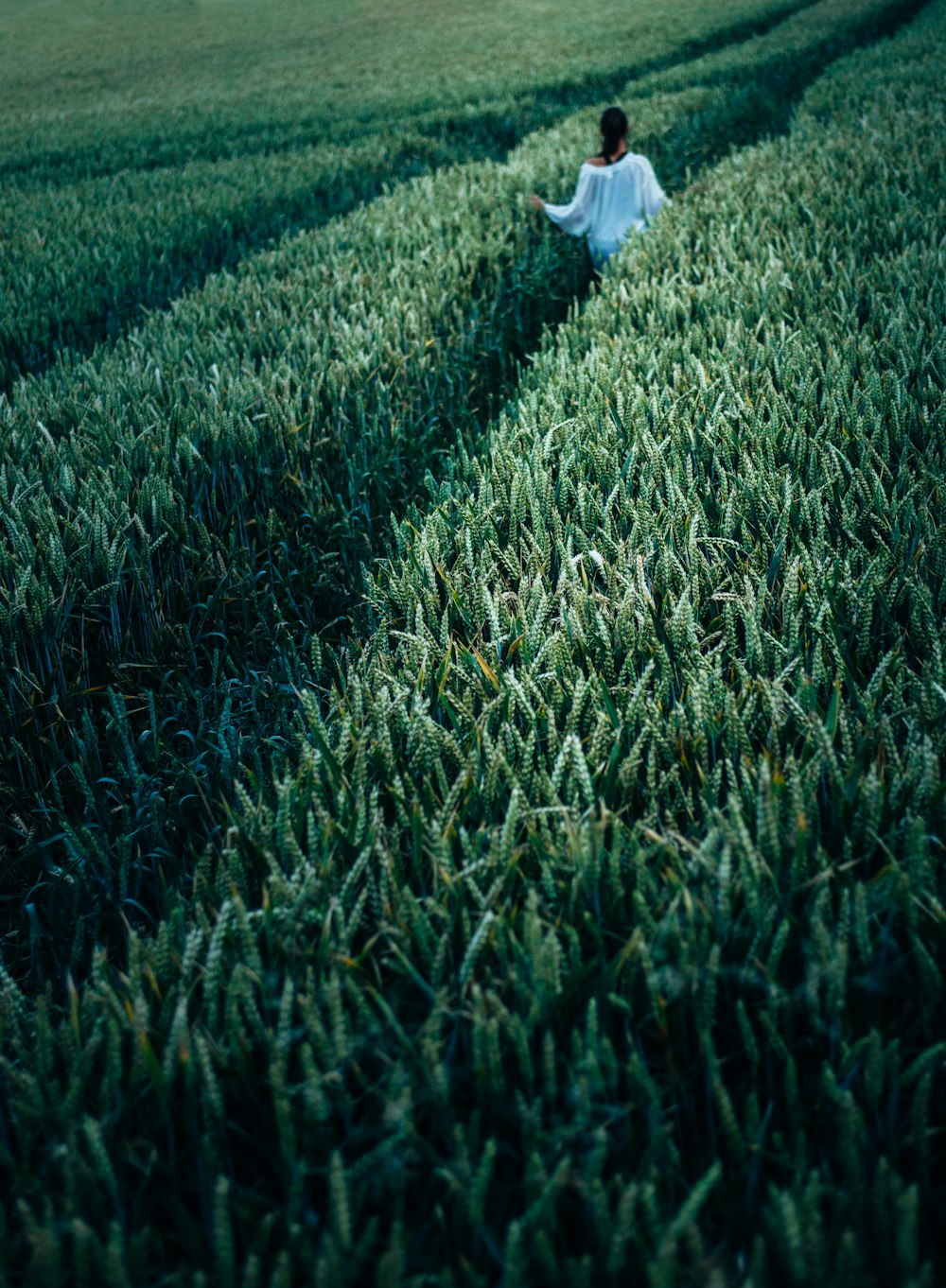 donna in piedi nel campo di grano