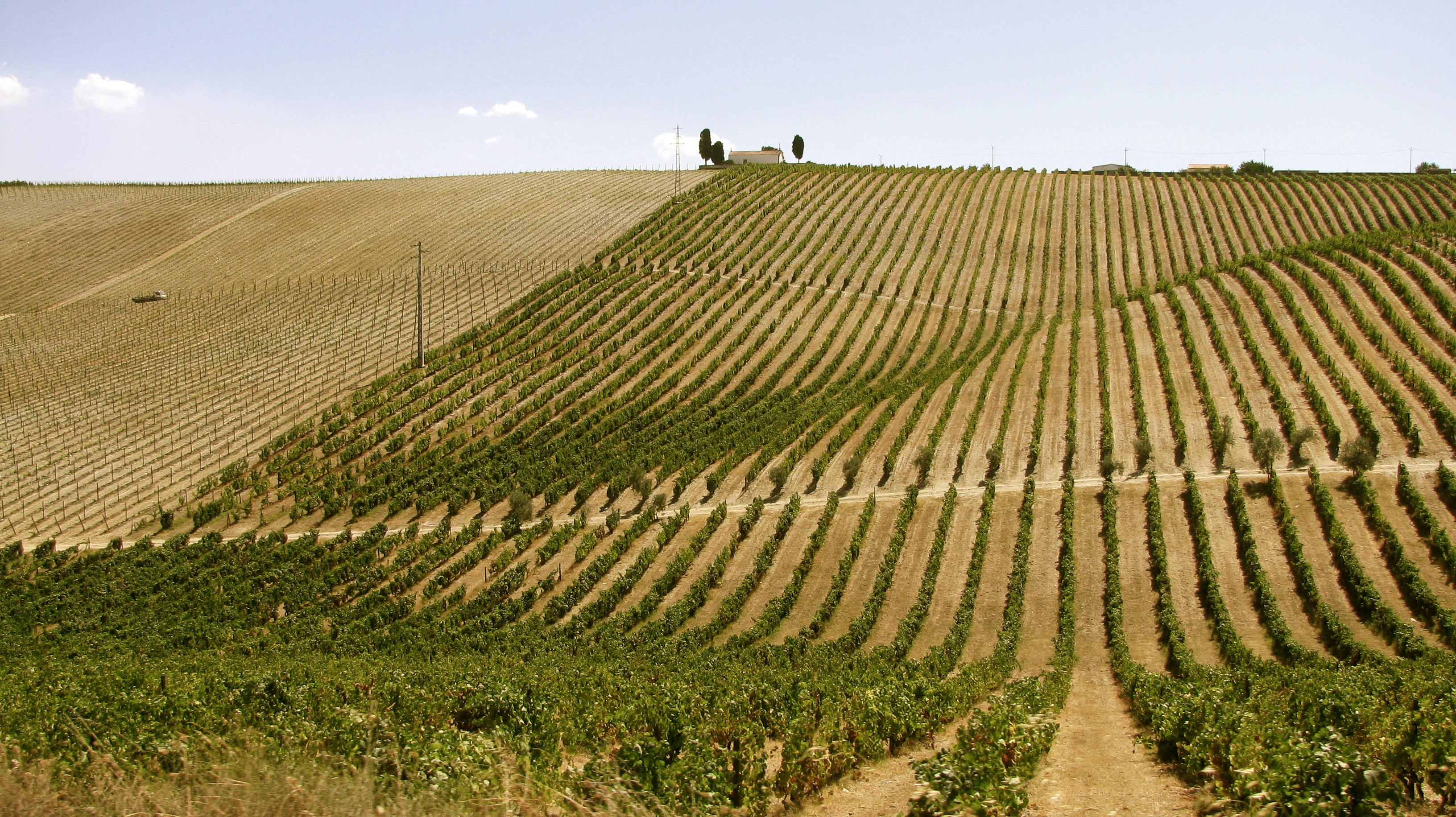 Free Unsplash photo from Paulo Simões Mendes