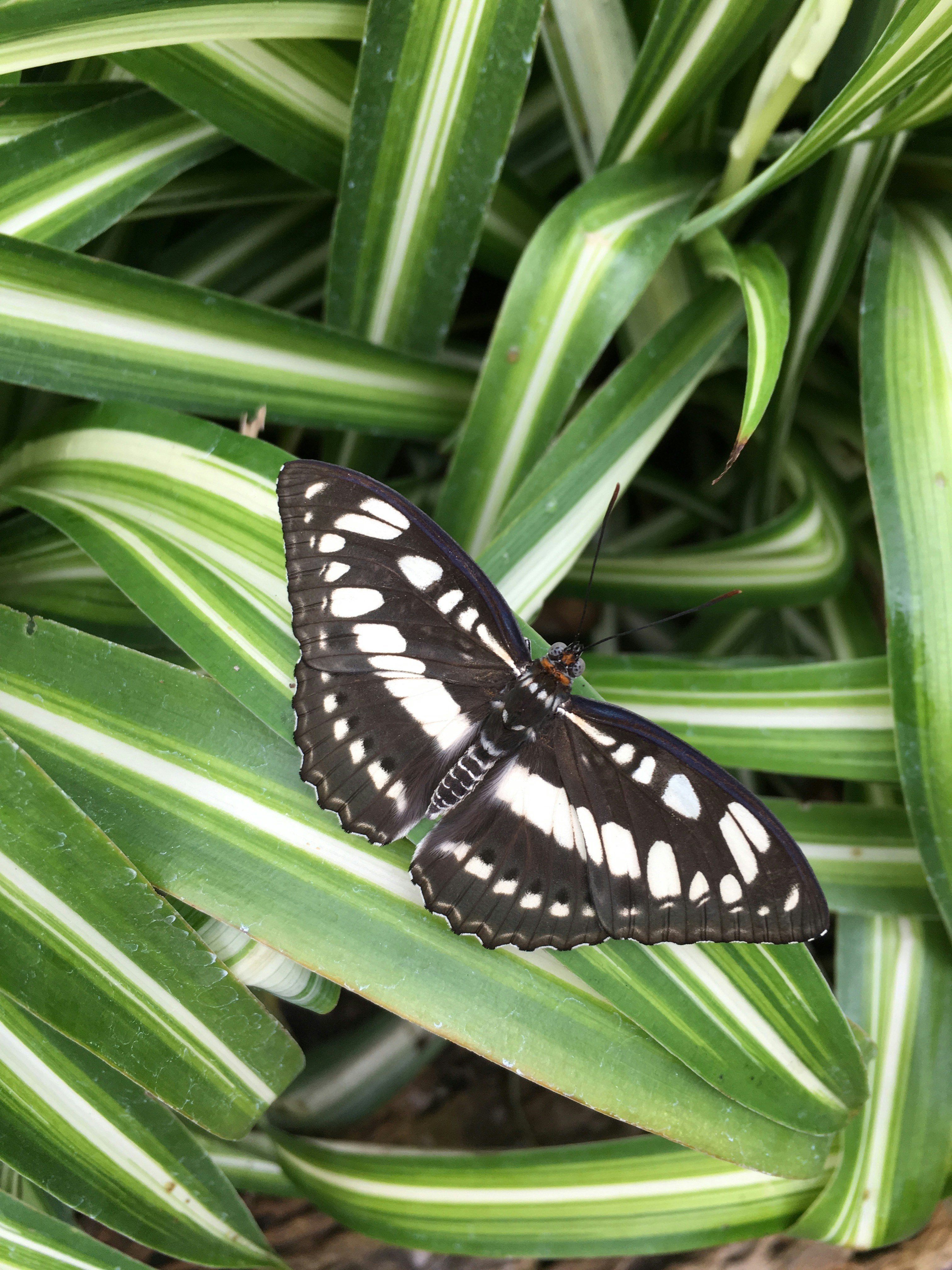 Free Unsplash photo from Lucy Gray