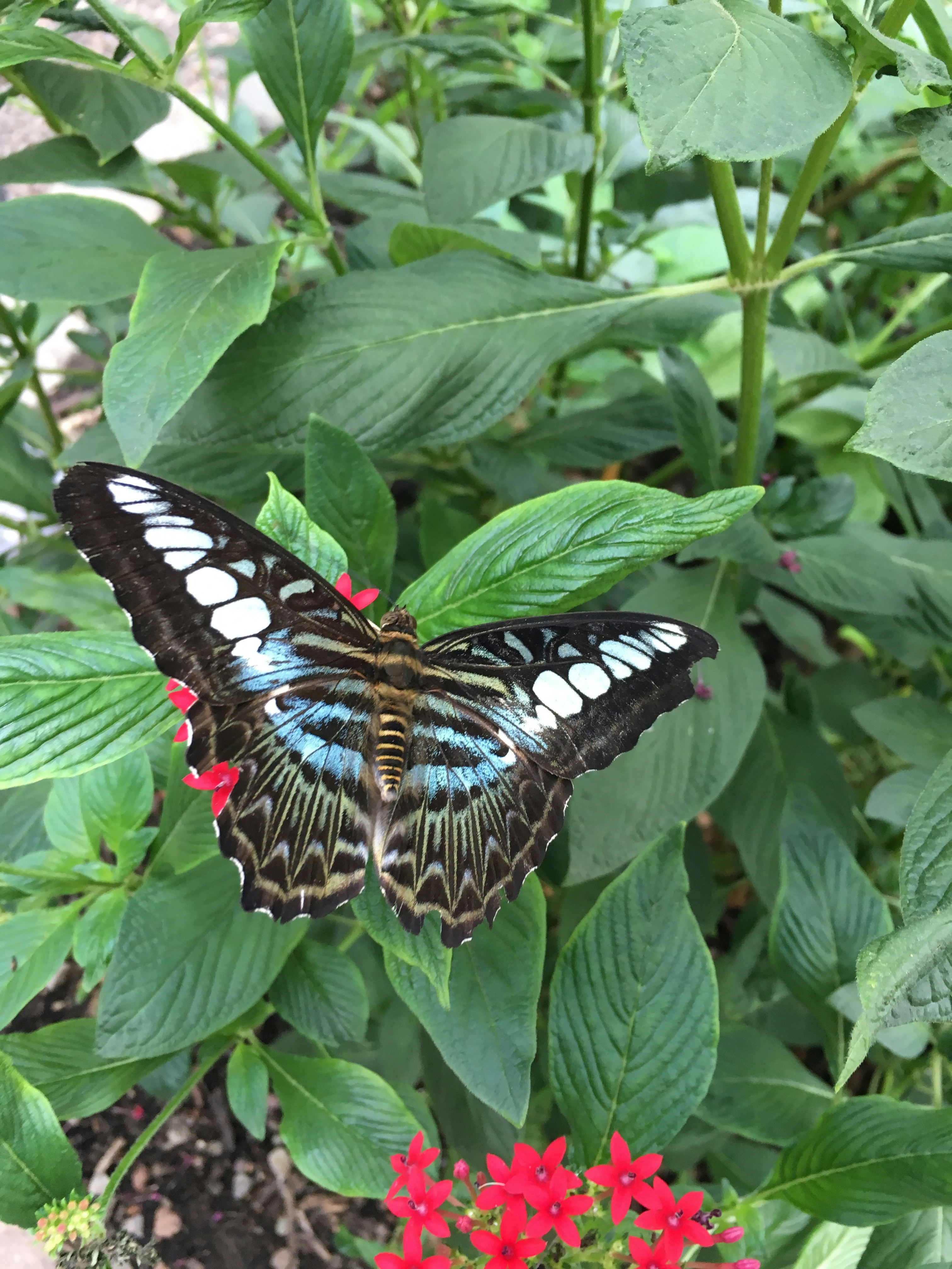 Free Unsplash photo from Lucy Gray