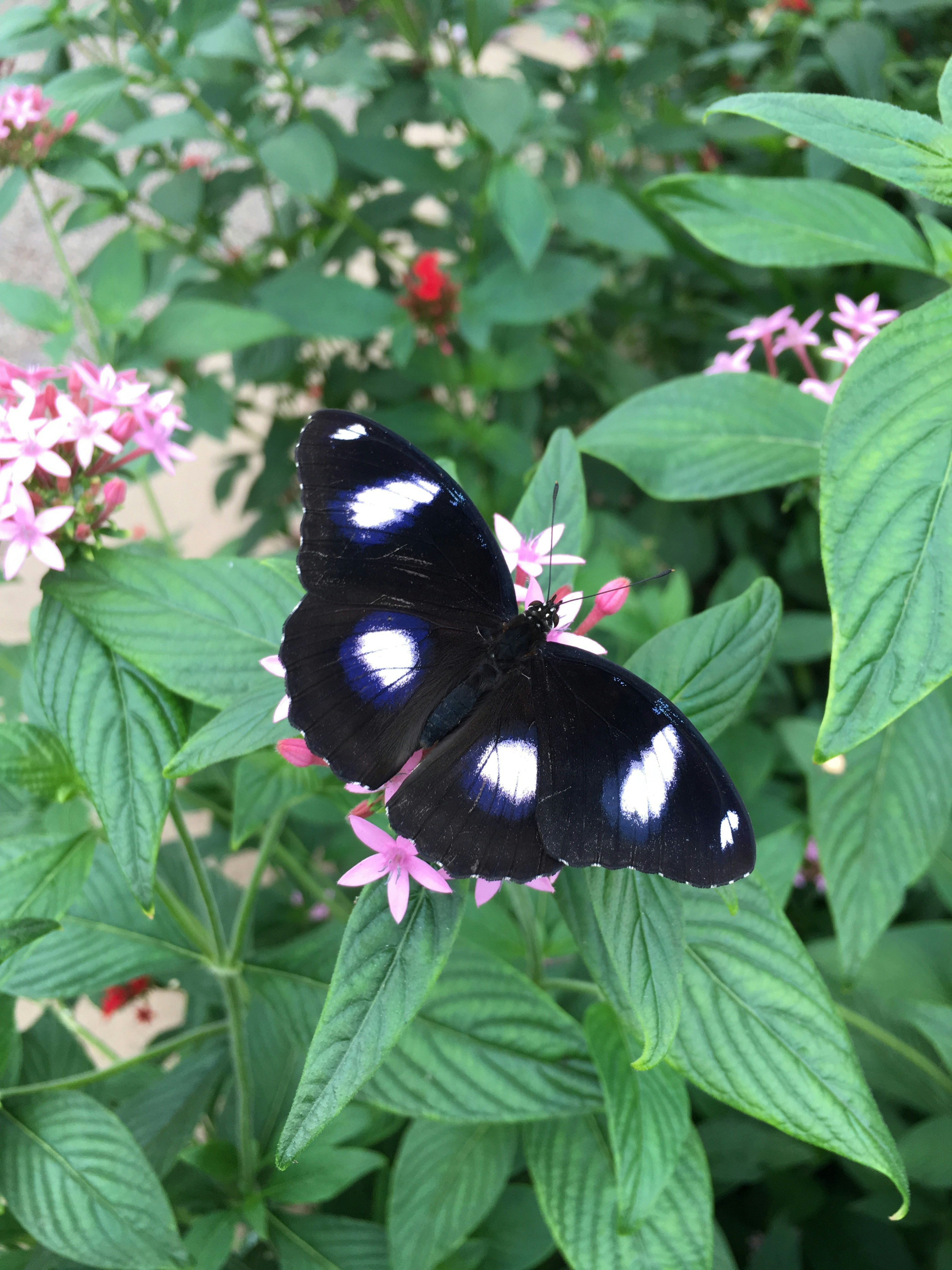 Free Unsplash photo from Lucy Gray