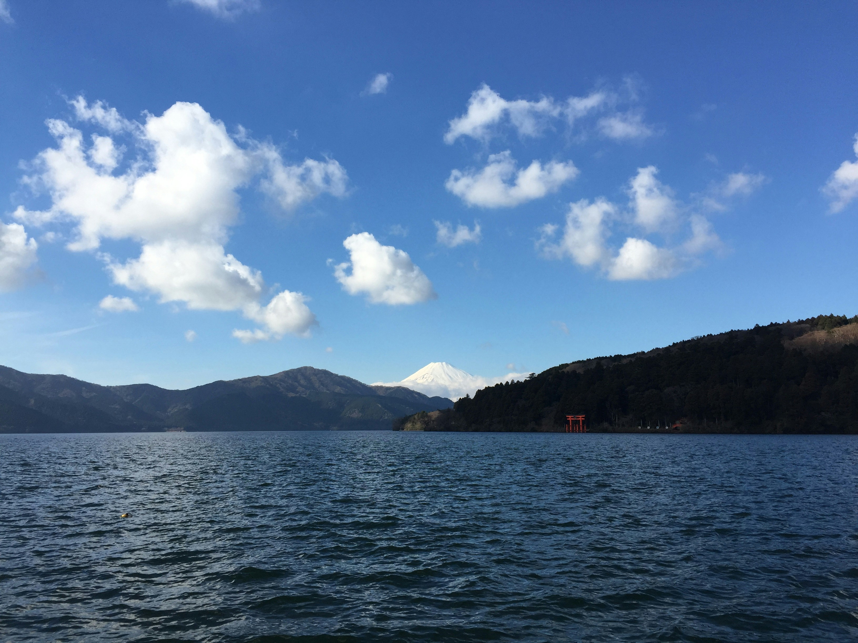 Free Unsplash photo from Kui-Tian Xi