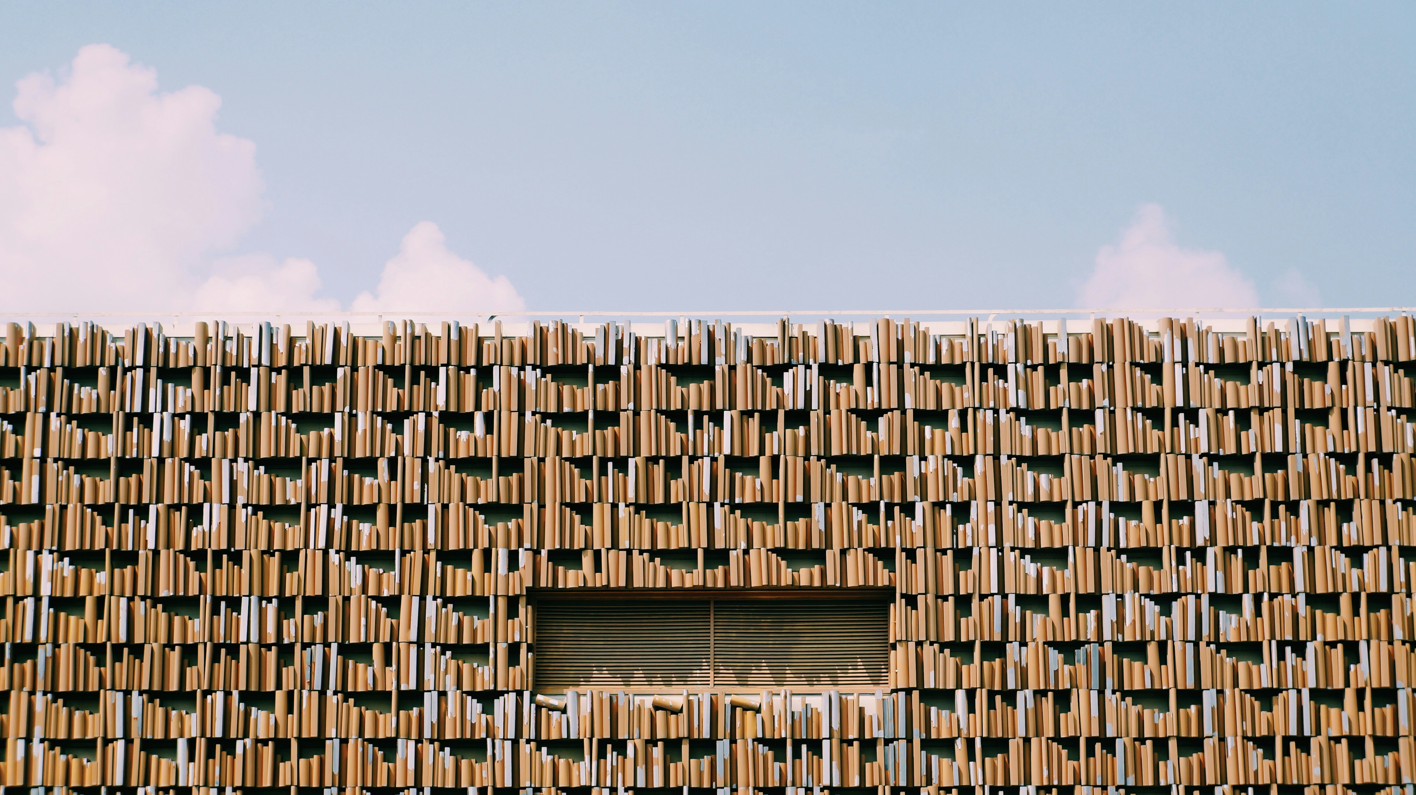 Free Unsplash photo from Riku Lu