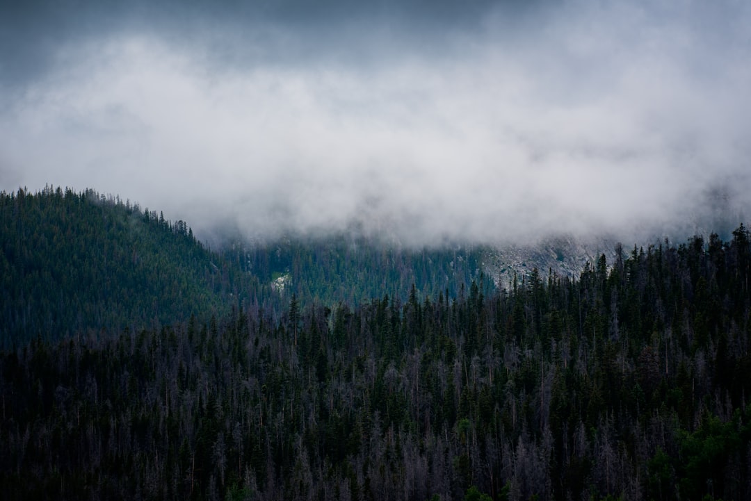 mountain under cloudy sky