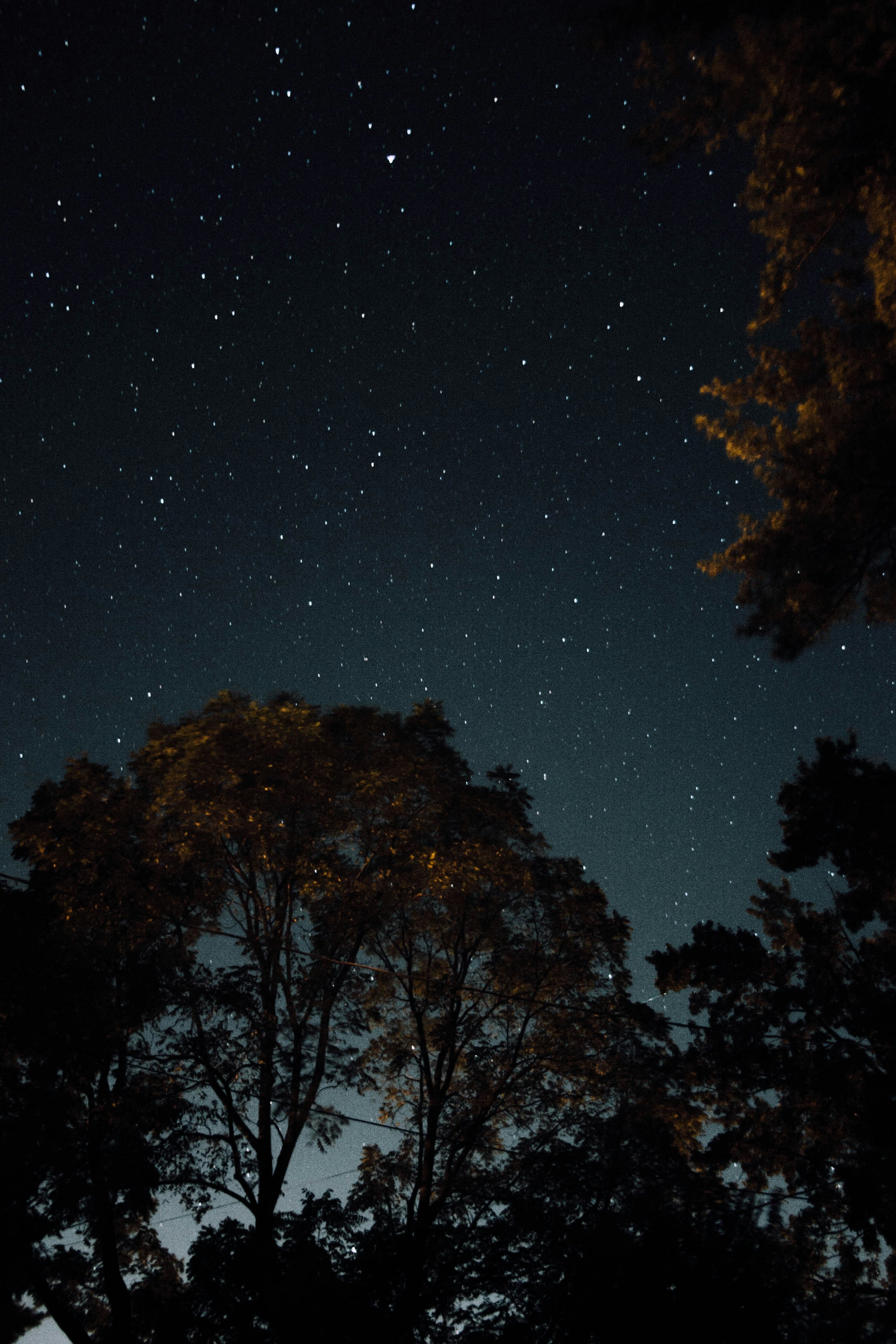 Free Unsplash photo from Cole Carpenter