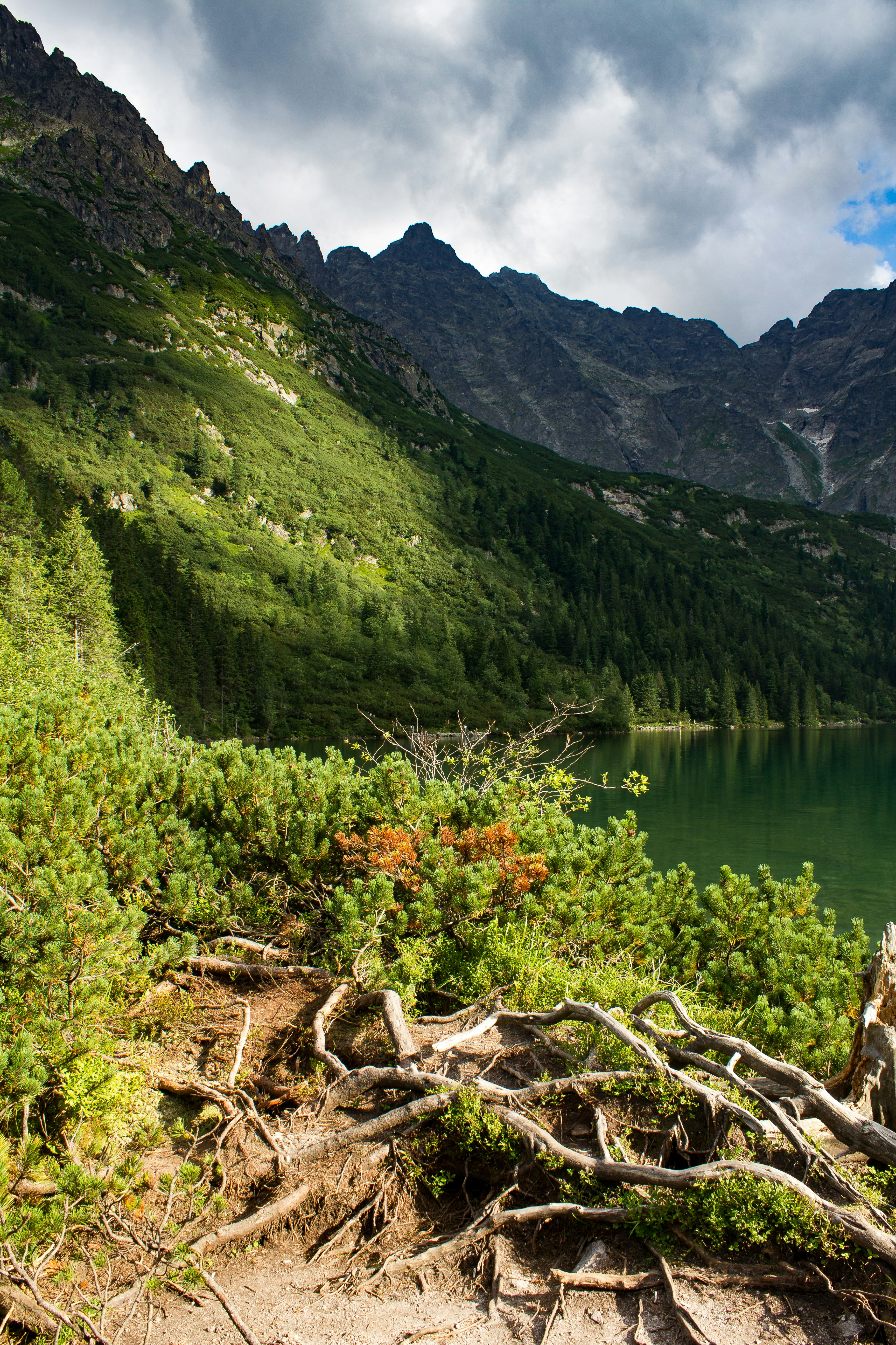 Free Unsplash photo from Wojciech Piejko