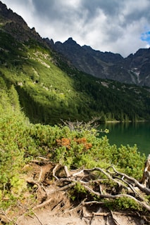 A serene mountain landscape with lush greenery.