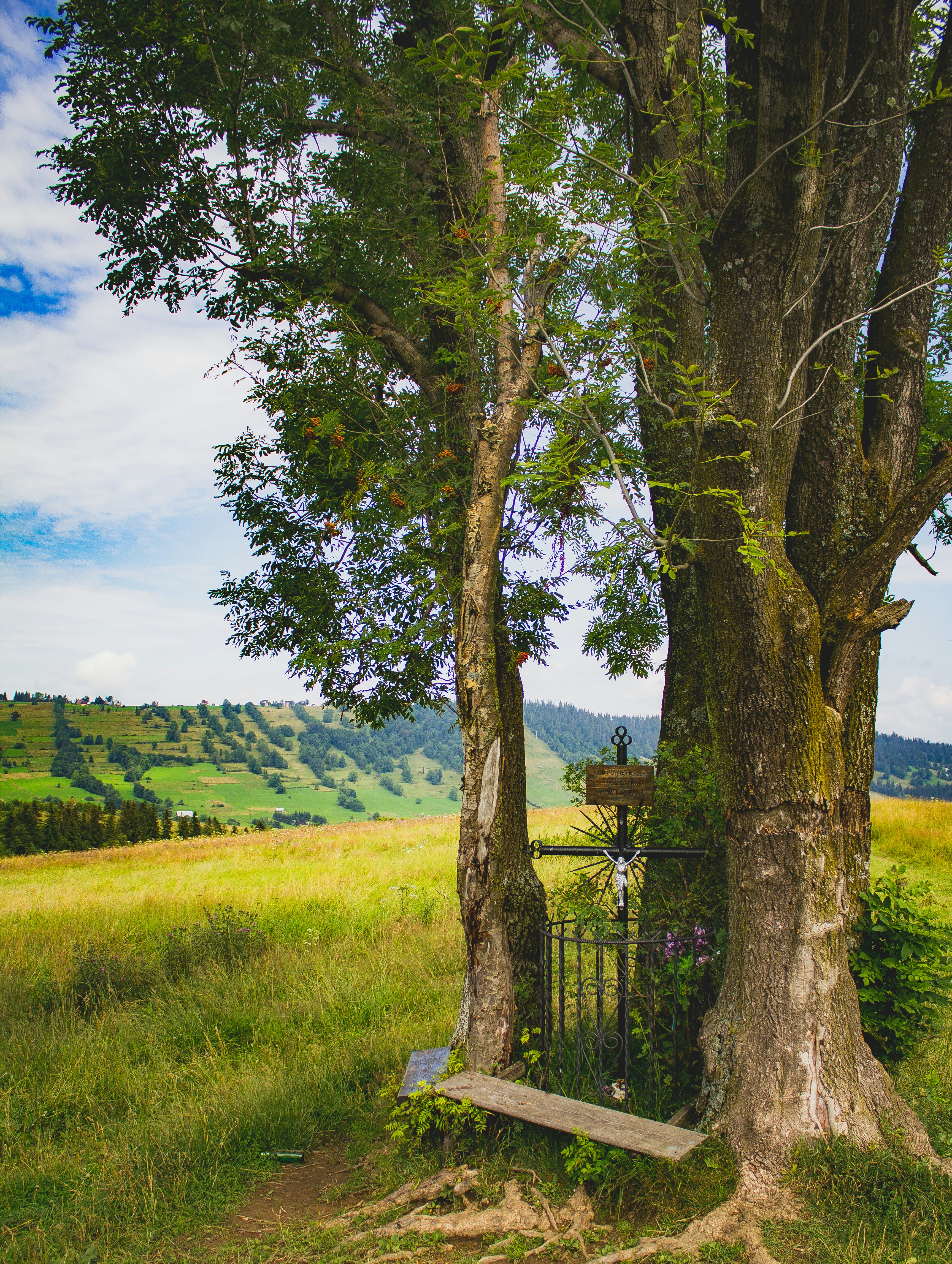 Free Unsplash photo from Wojciech Piejko