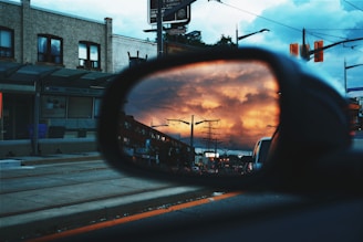 photo of cat wing mirror reflect light post