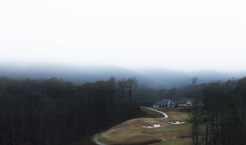 gray house surrounded by forest field