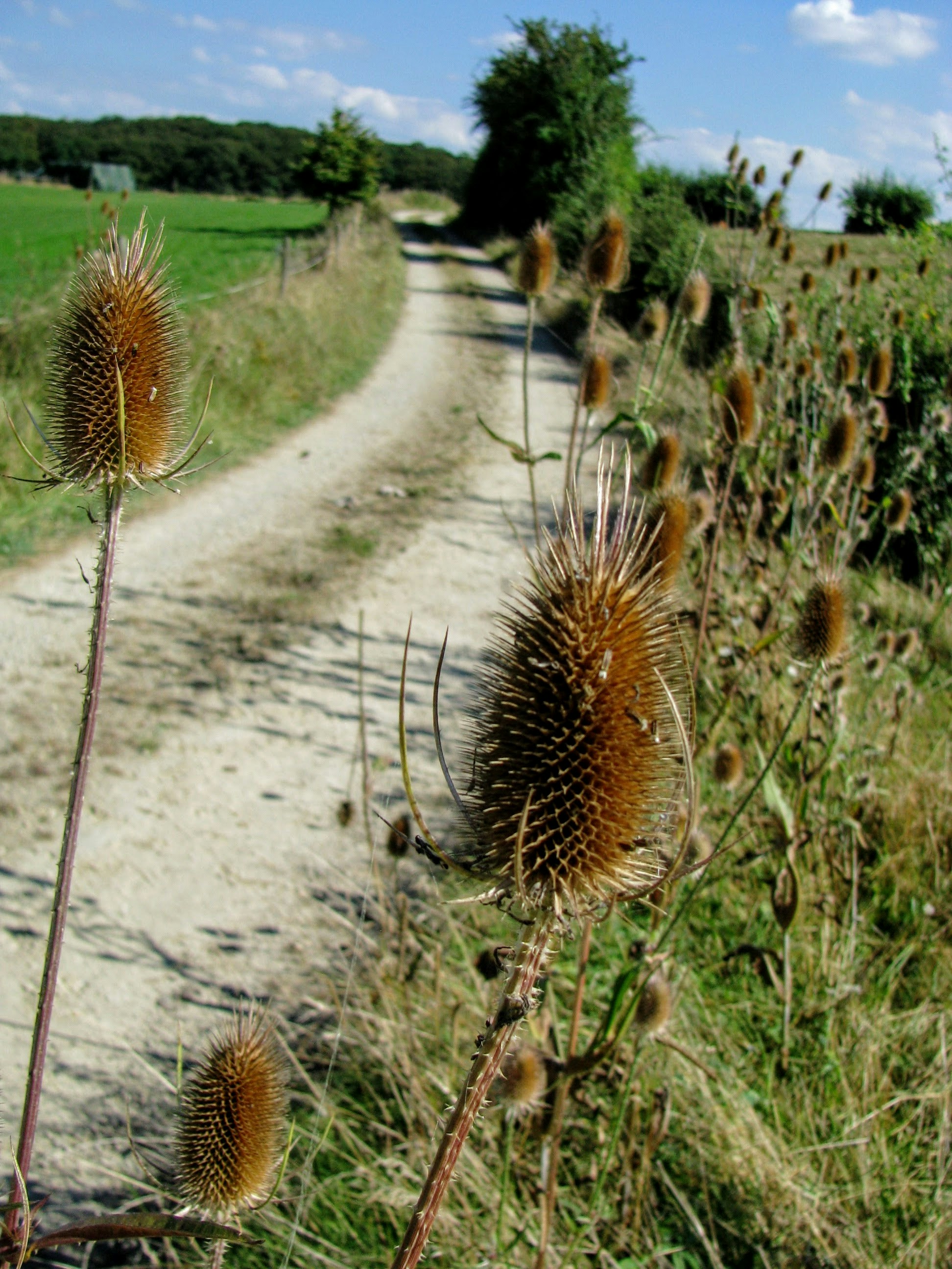 Free Unsplash photo from Zoe Gabo