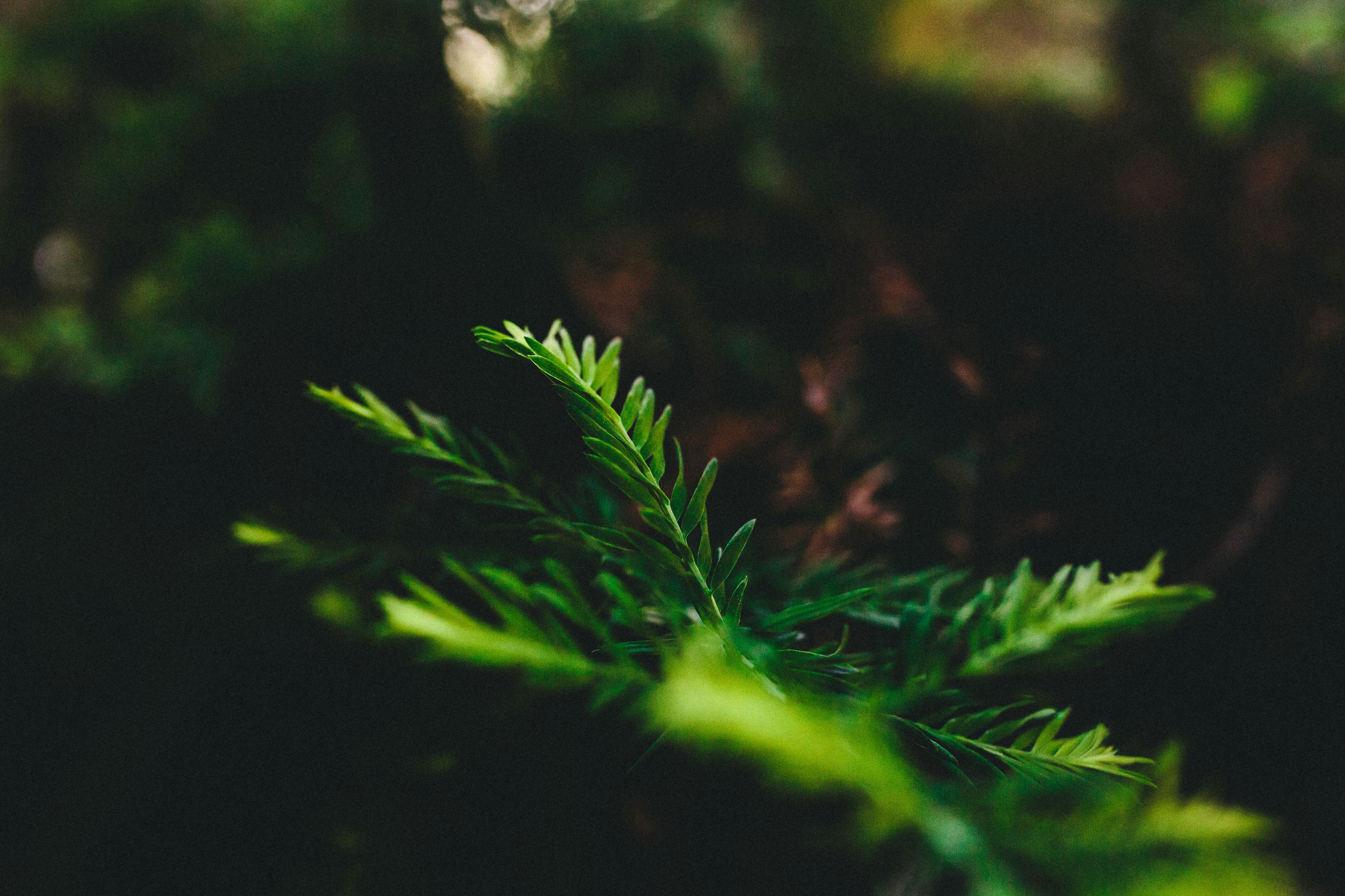 Free Unsplash photo from Tim Wright