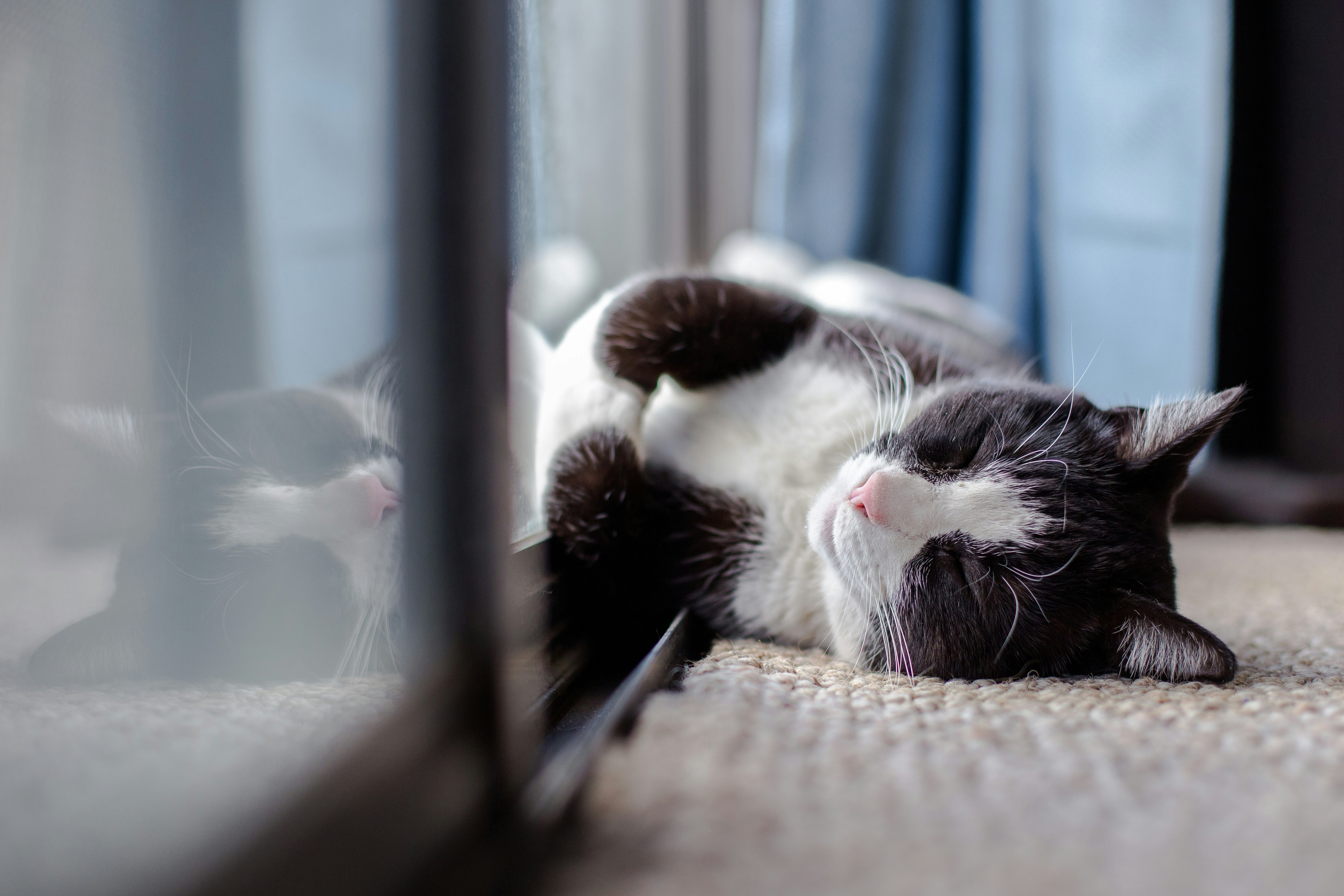 Free Unsplash photo from Tim Wright