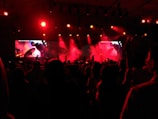 A vibrant image showcasing Shadmehr performing live.