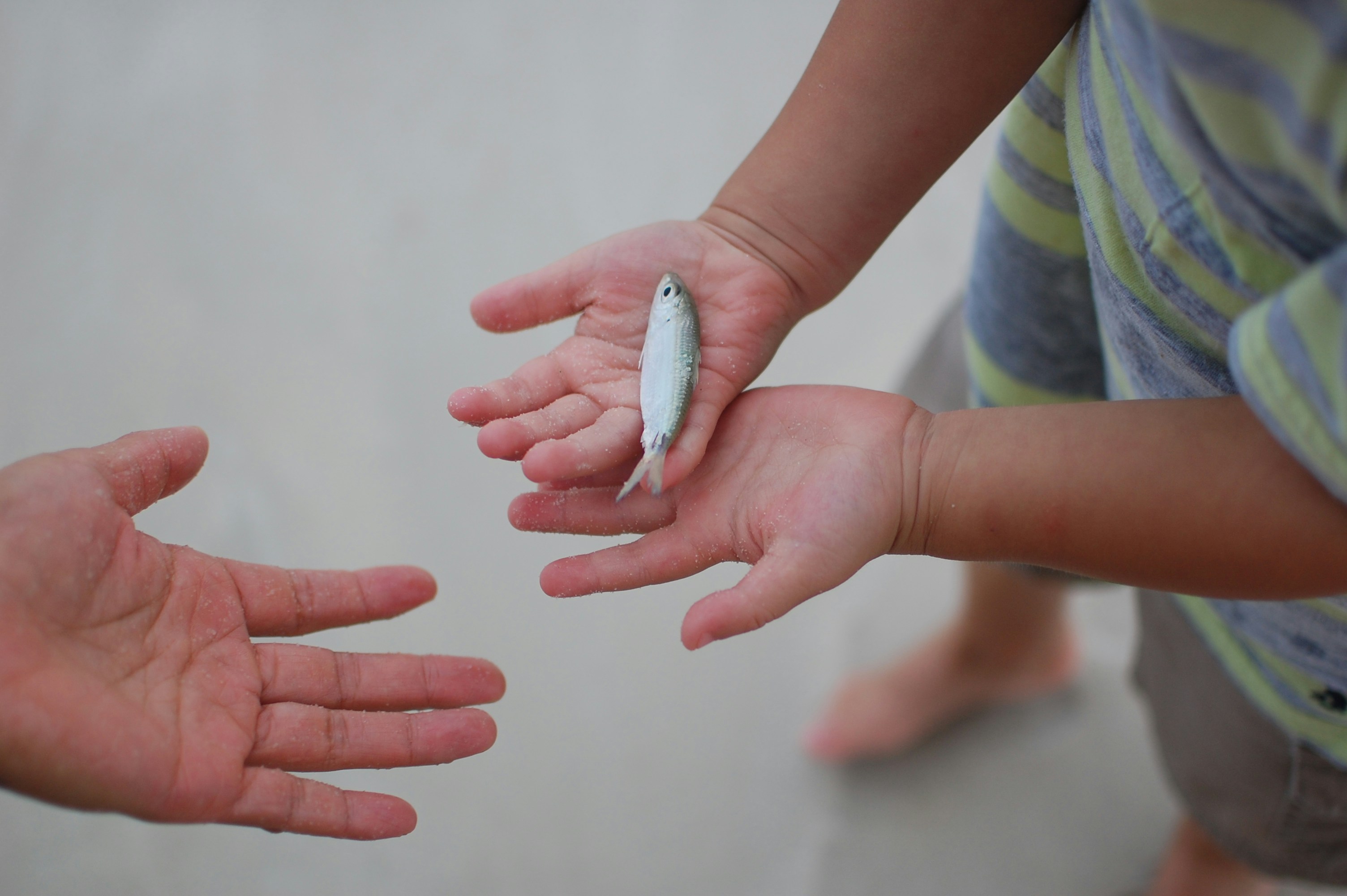 Free Unsplash photo from Benjamin Miller