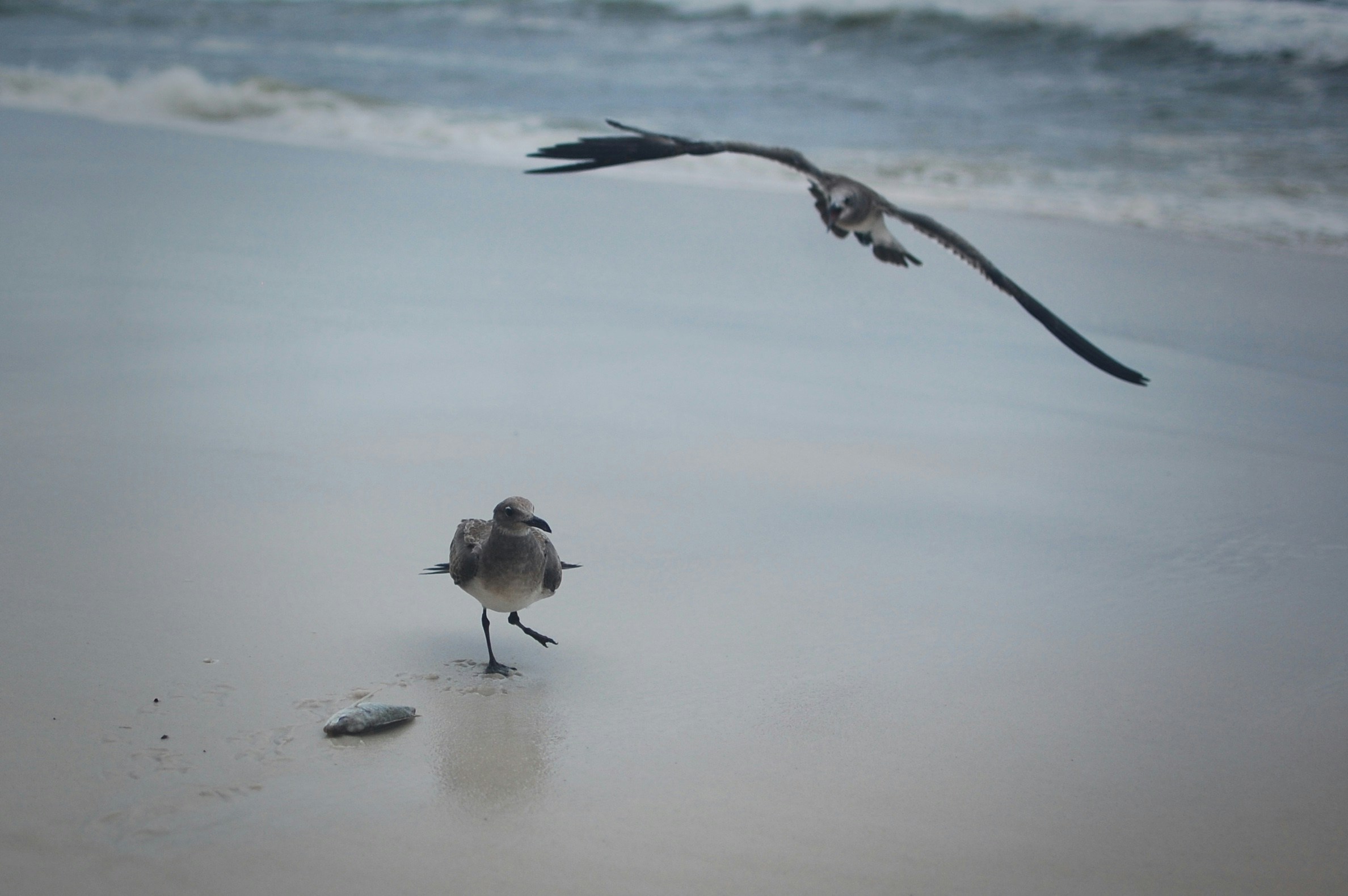 Free Unsplash photo from Benjamin Miller