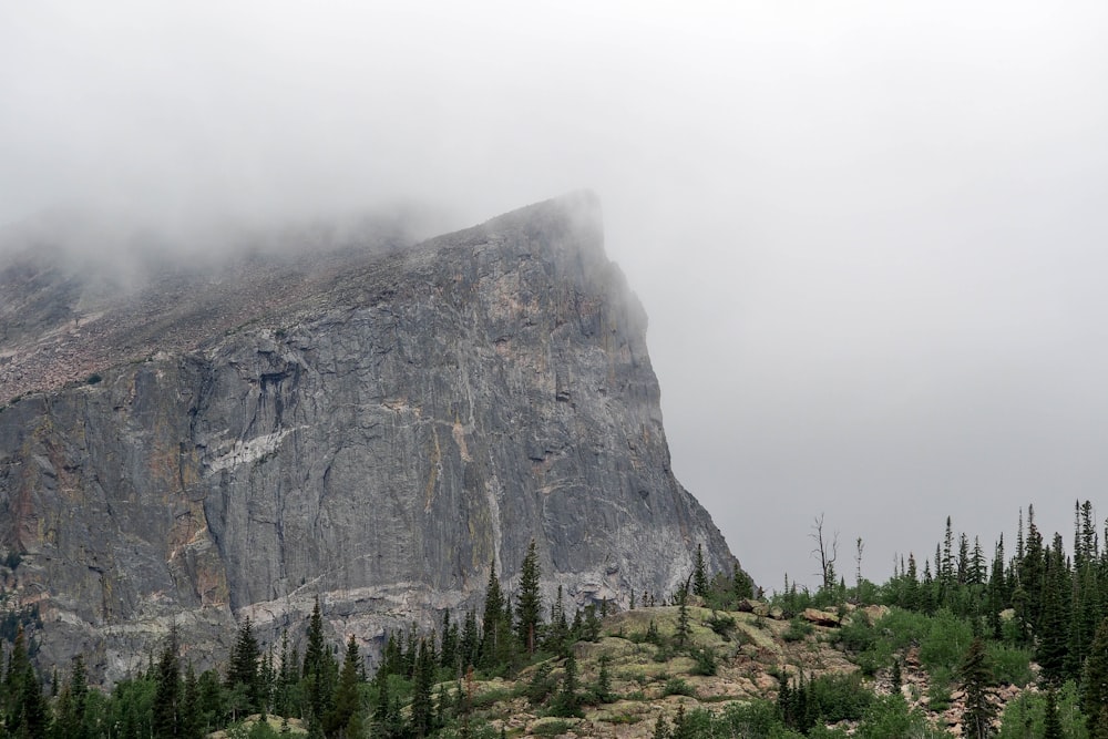 mountain covered by fog