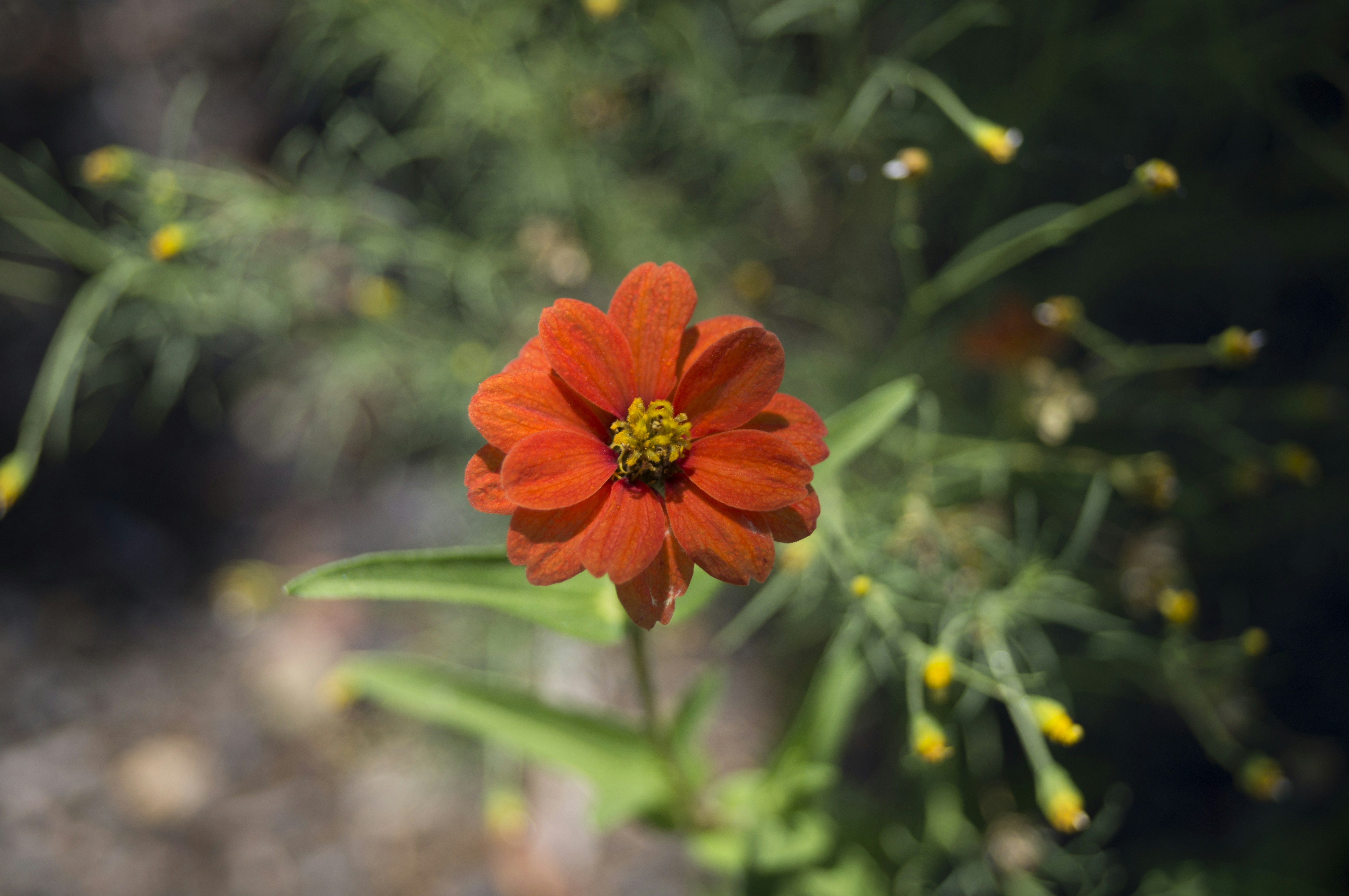 Free Unsplash photo from abstractal