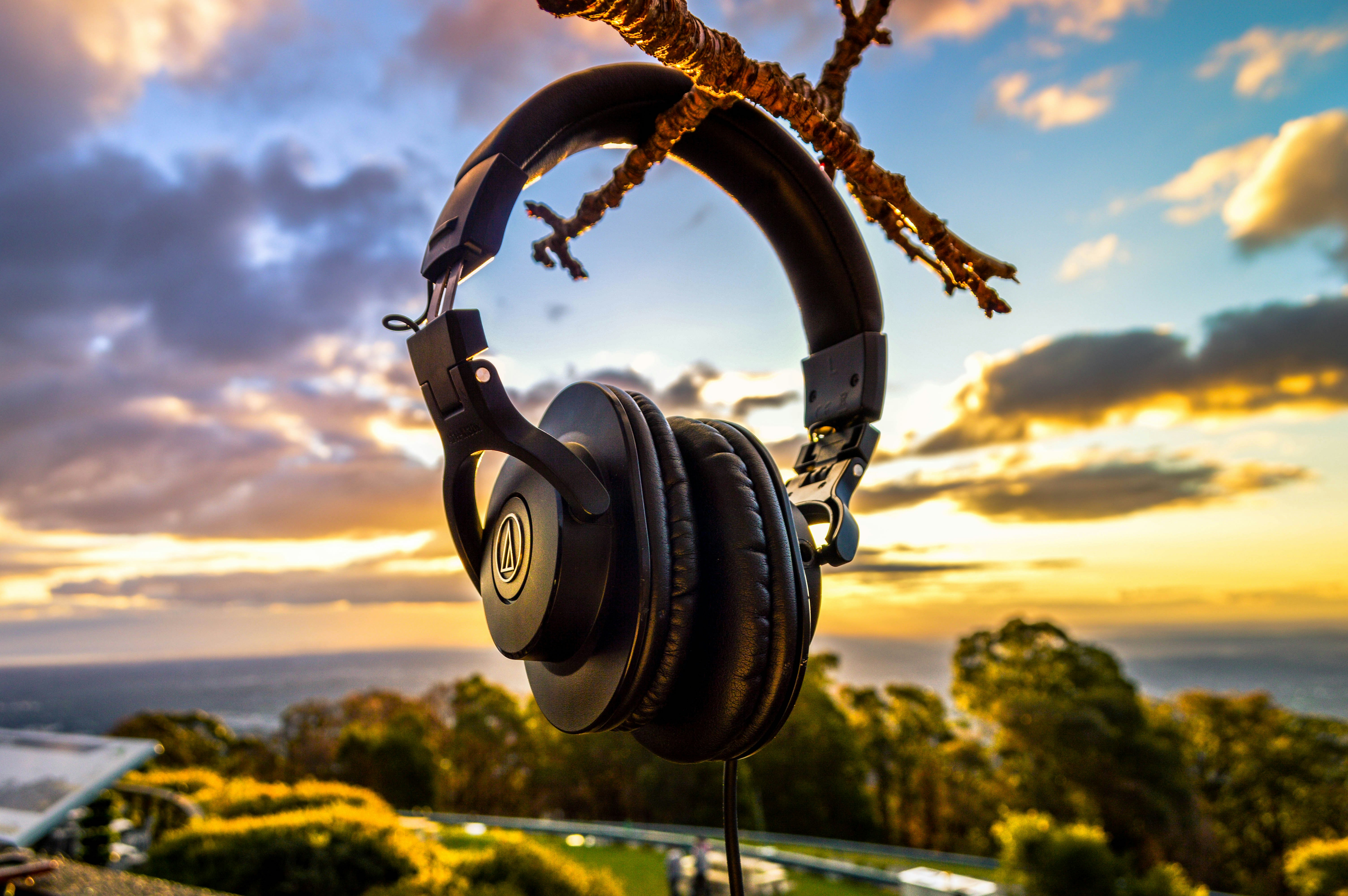 Free Unsplash photo from Moditha Sulakshana