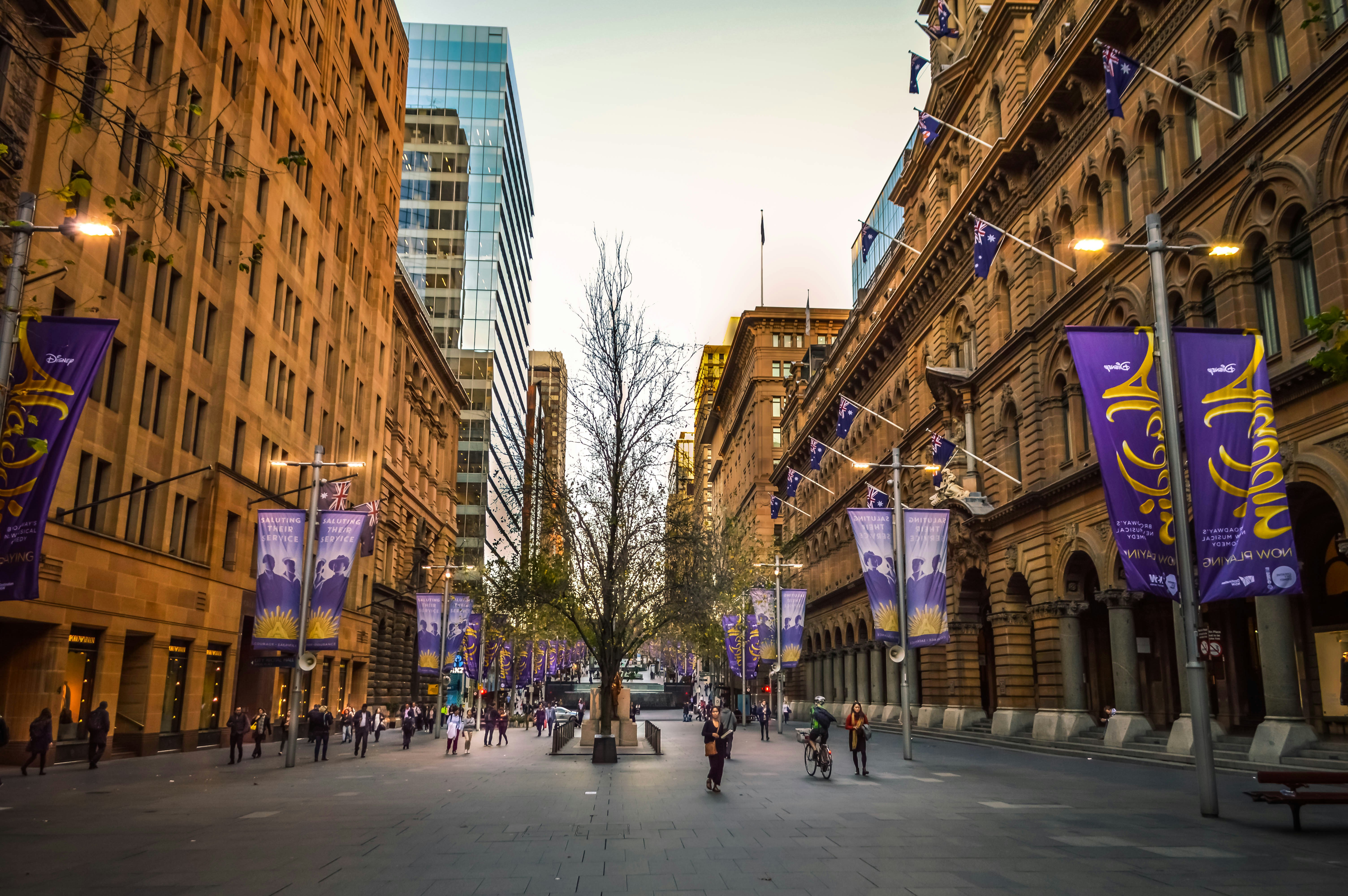 Free Unsplash photo from Moditha Sulakshana