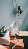 Various household utility items arranged on a wooden surface with natural light.