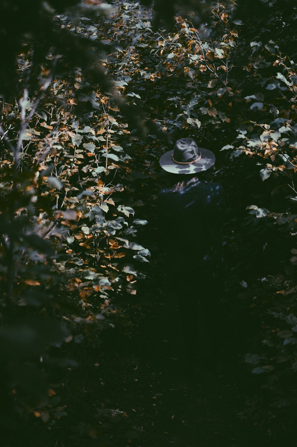 Femme portant un chapeau noir rond entouré de plantes pendant la journée