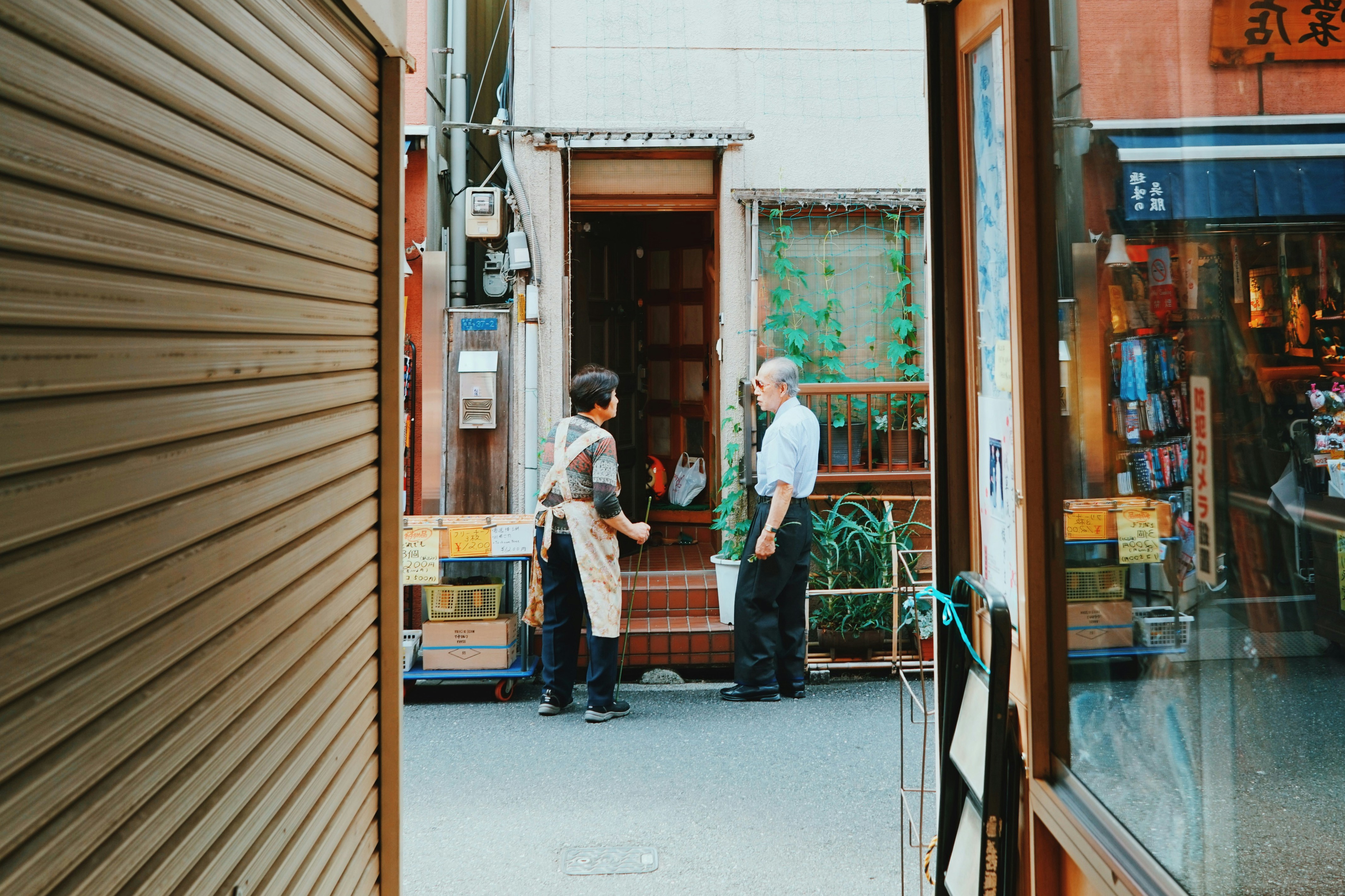 Free Unsplash photo from dino leo