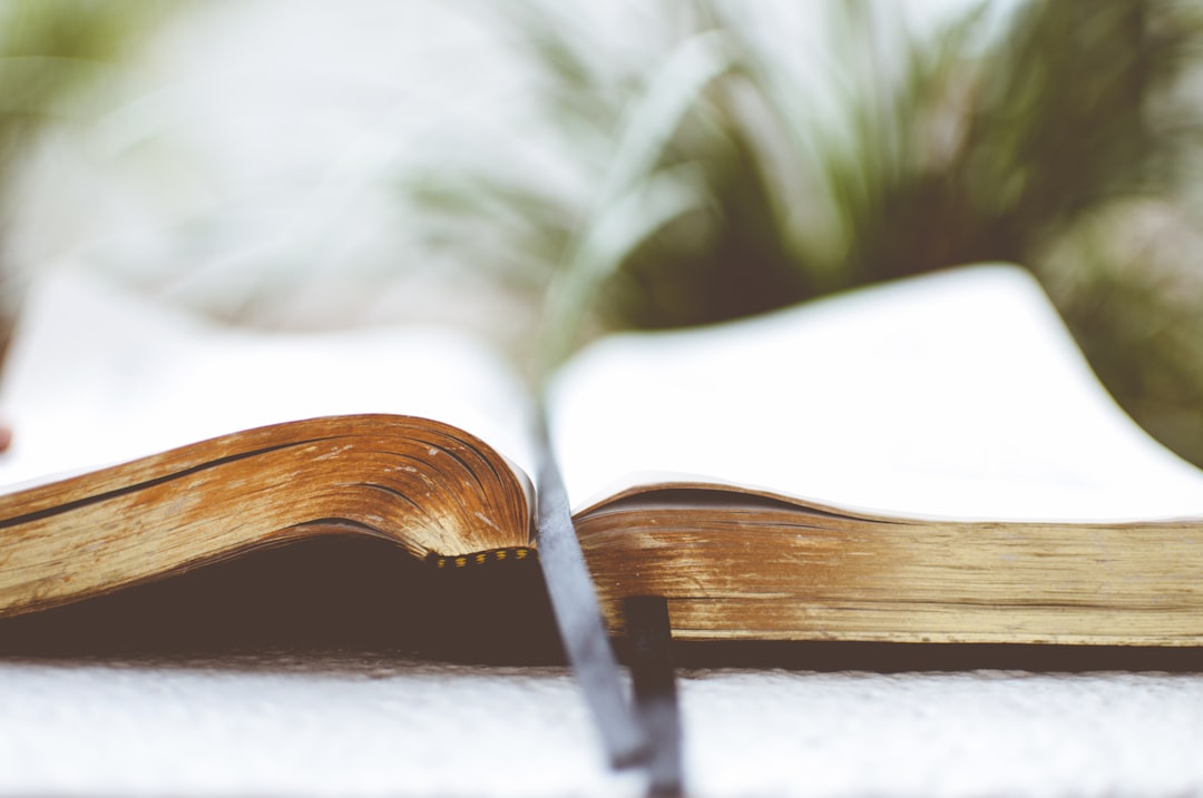 open book on white surface, Open book