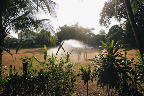 Two people are watering a large grassy area using a hose, with a water spray visible in the air. They are surrounded by lush green plants. There are large trees and vegetation in the background, and a white vehicle is parked nearby. The sunlight creates a bright and serene atmosphere.