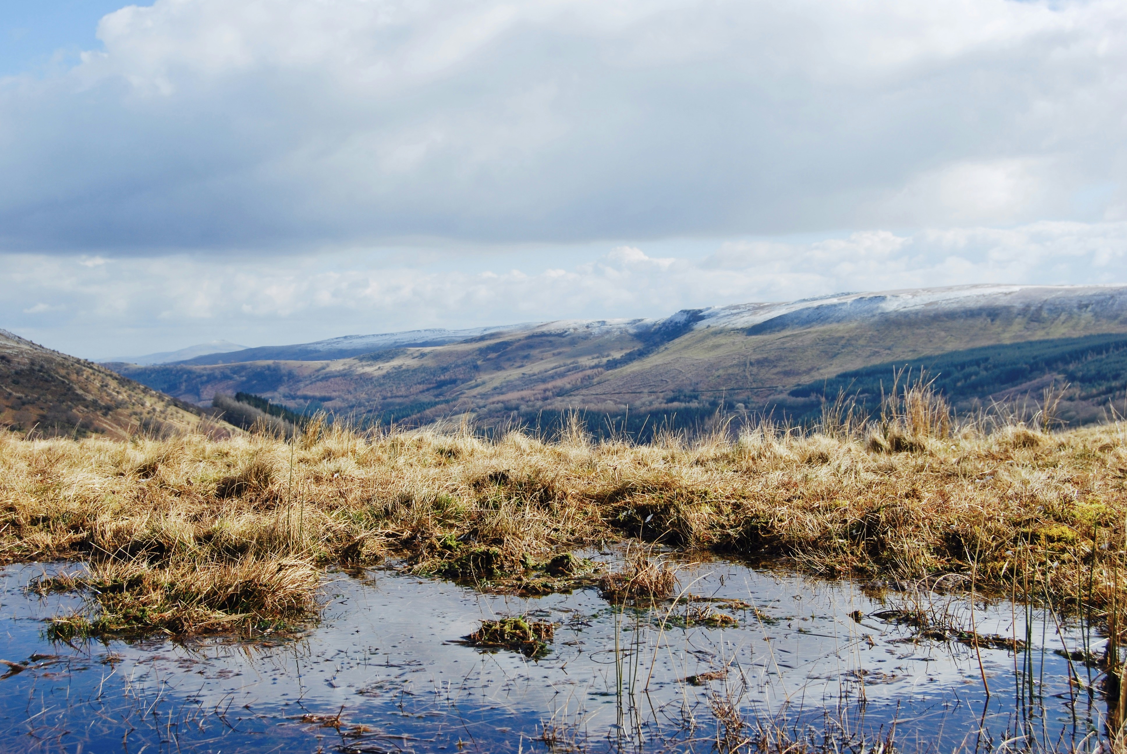 Free Unsplash photo from Abi Falkus