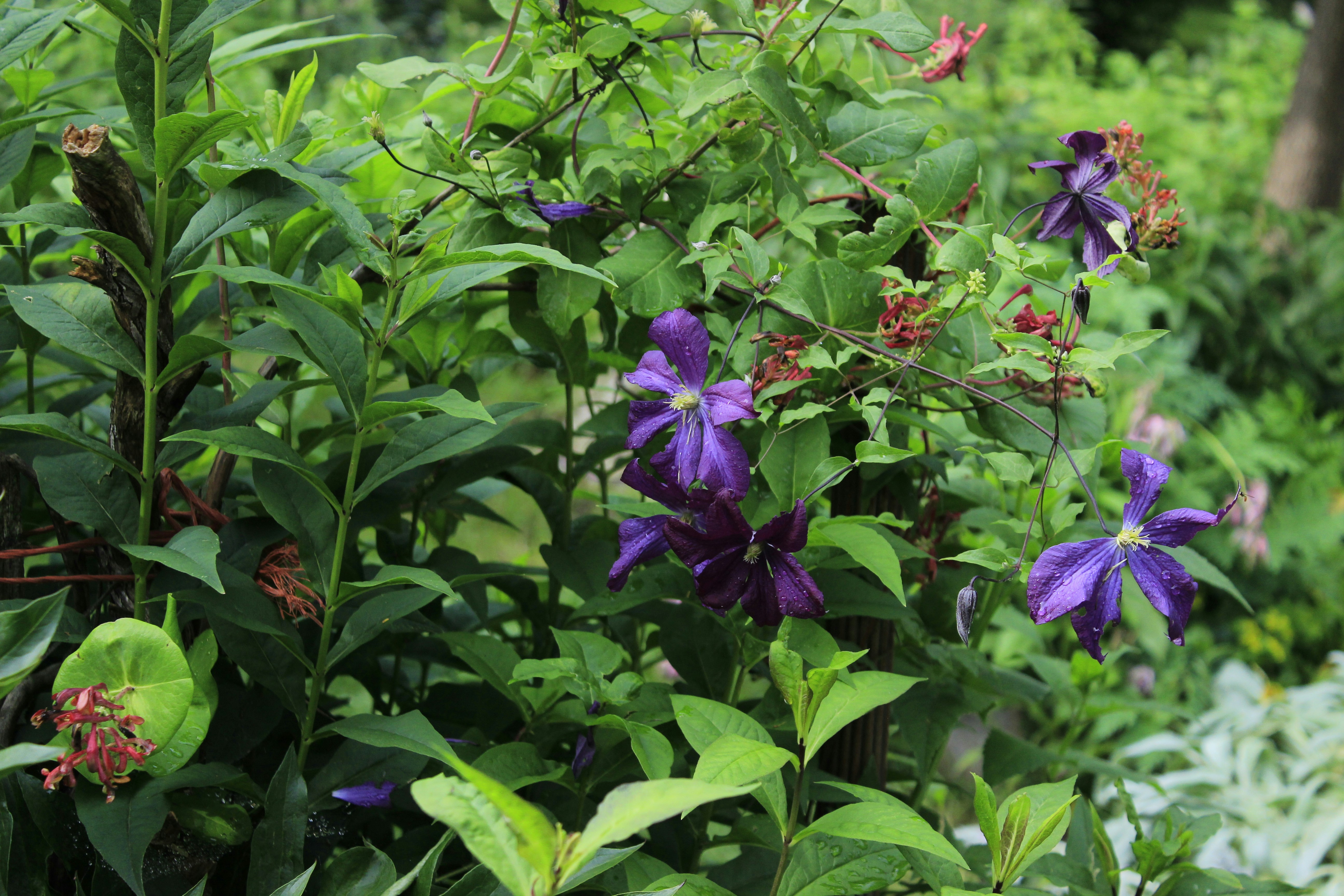 Free Unsplash photo from ajdin civgin