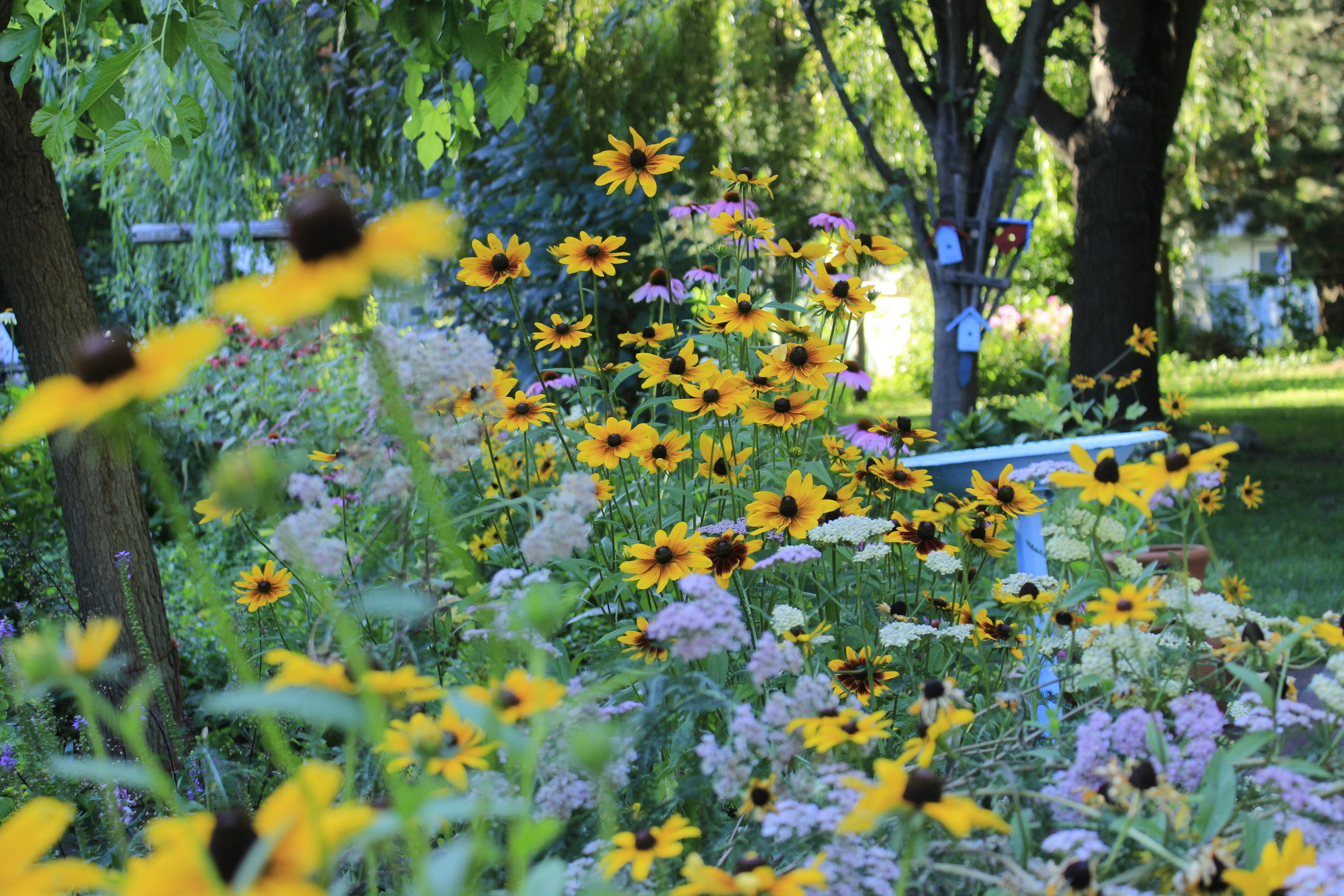 Free Unsplash photo from ajdin civgin