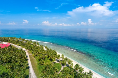 Aerial view of a tropical beach resort with palm trees and clear blue water.