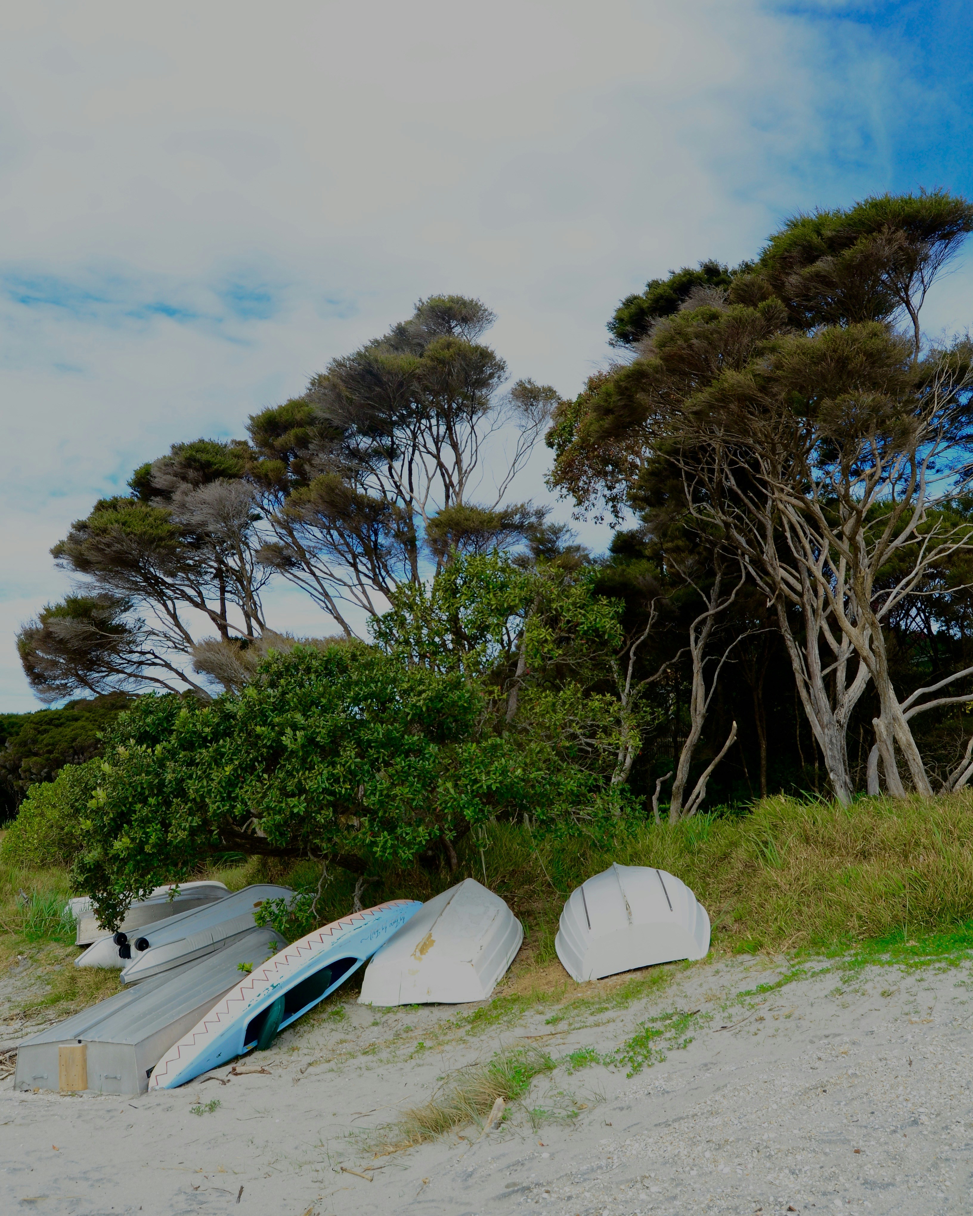 Free Unsplash photo from Kerensa Pickett