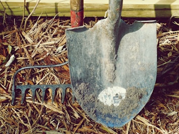 A metal shovel with dirt on it rests against a rake. Both tools are placed on a ground covered with dried mulch. The scene is outdoors, possibly in a garden or yard.