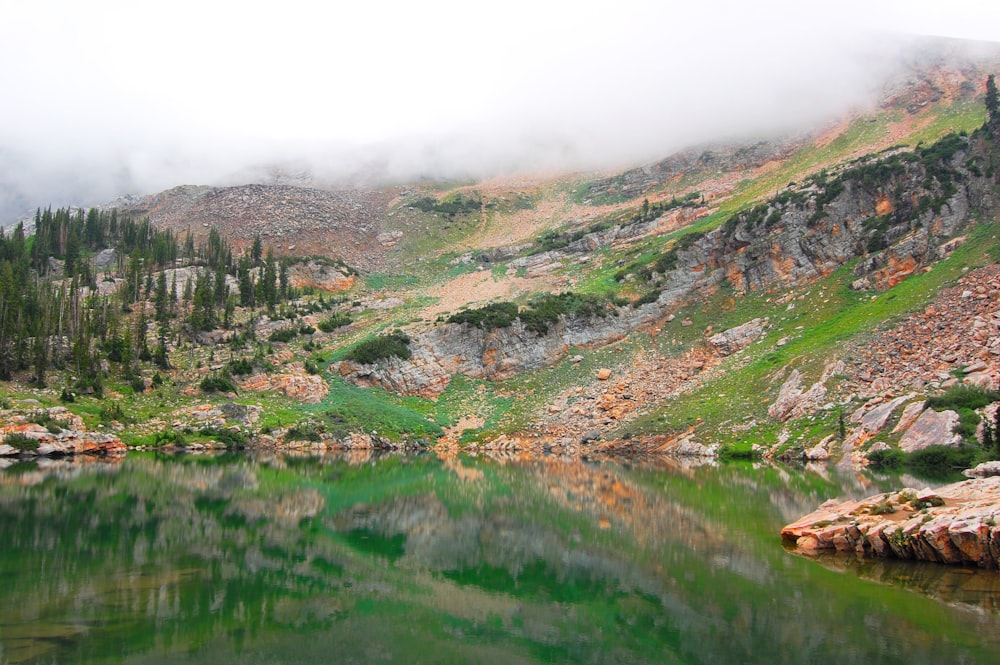 fog on top of mountain