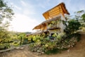 a house with a thatched roof surrounded by greenery