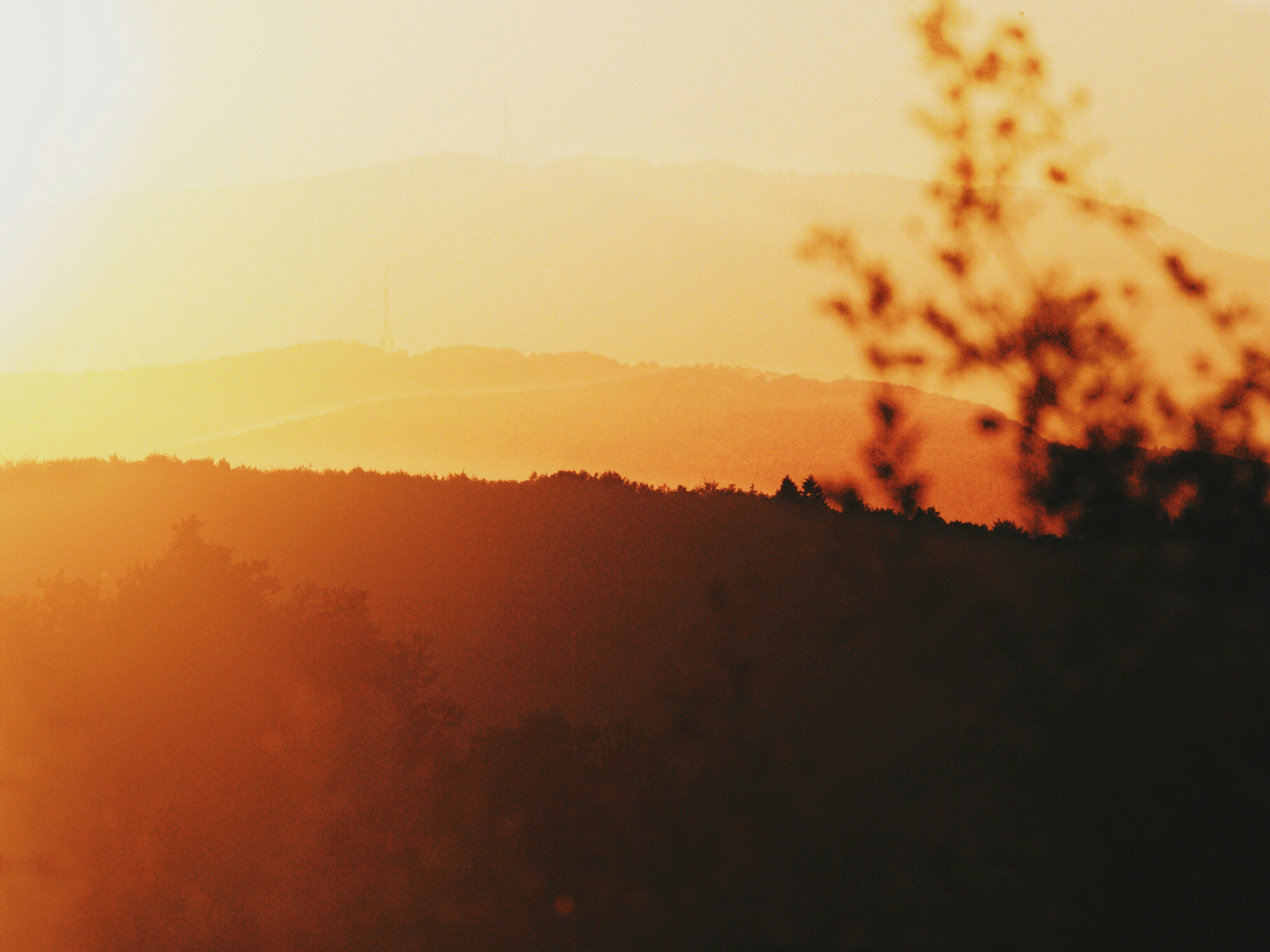 Free Unsplash photo from Nejc Ostir