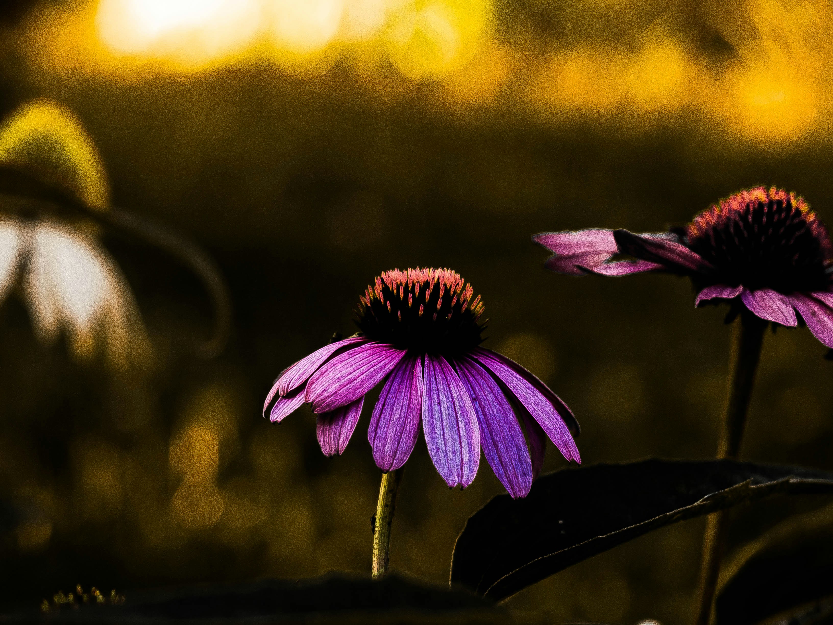 Free Unsplash photo from Nejc Ostir