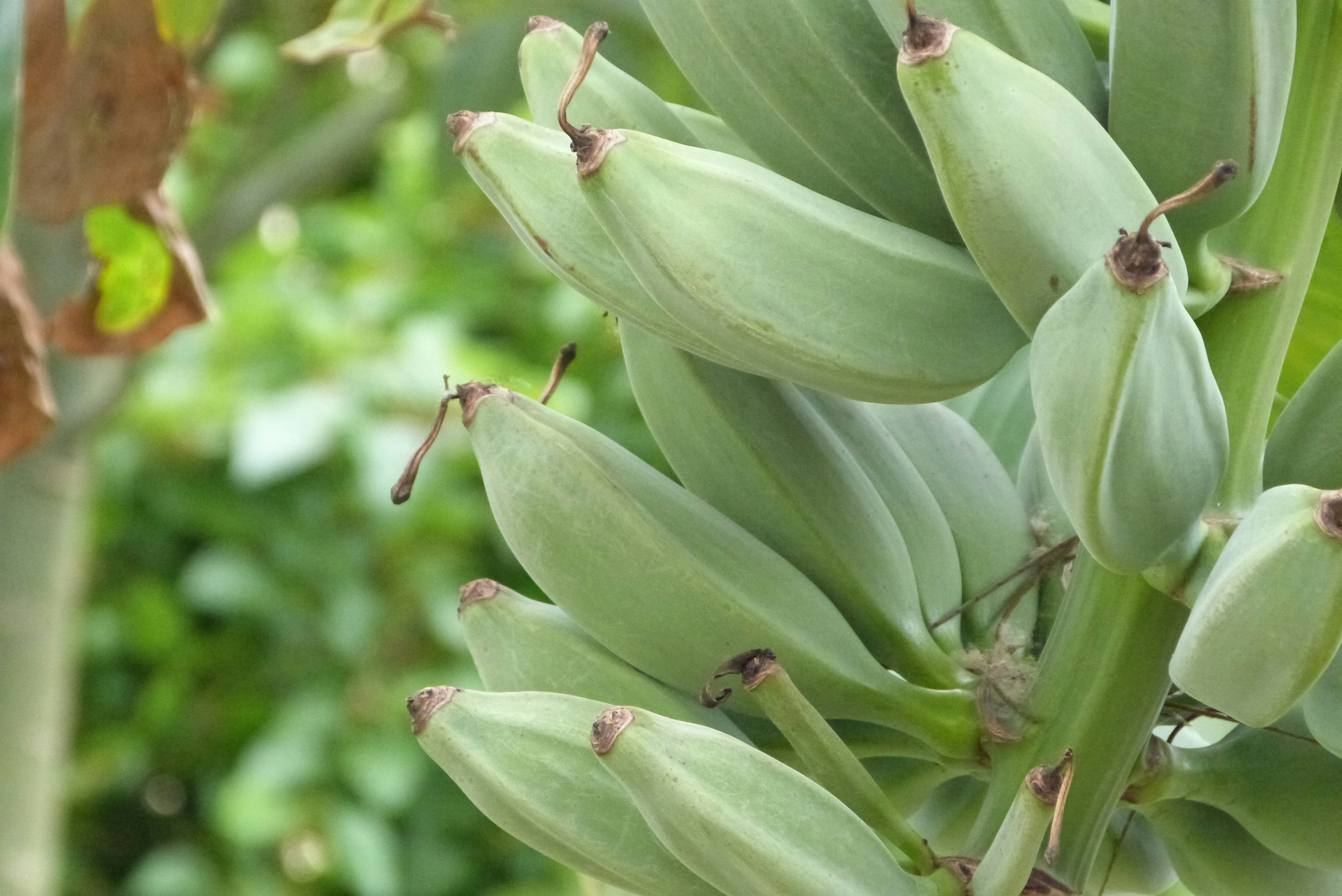 Free Unsplash photo from Carlos Saraiva