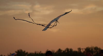 A kite with long, flowing tails is flying against a backdrop of a sunset sky. The sky is filled with warm hues, and below the kite are silhouettes of trees and possibly people enjoying an outdoor activity.