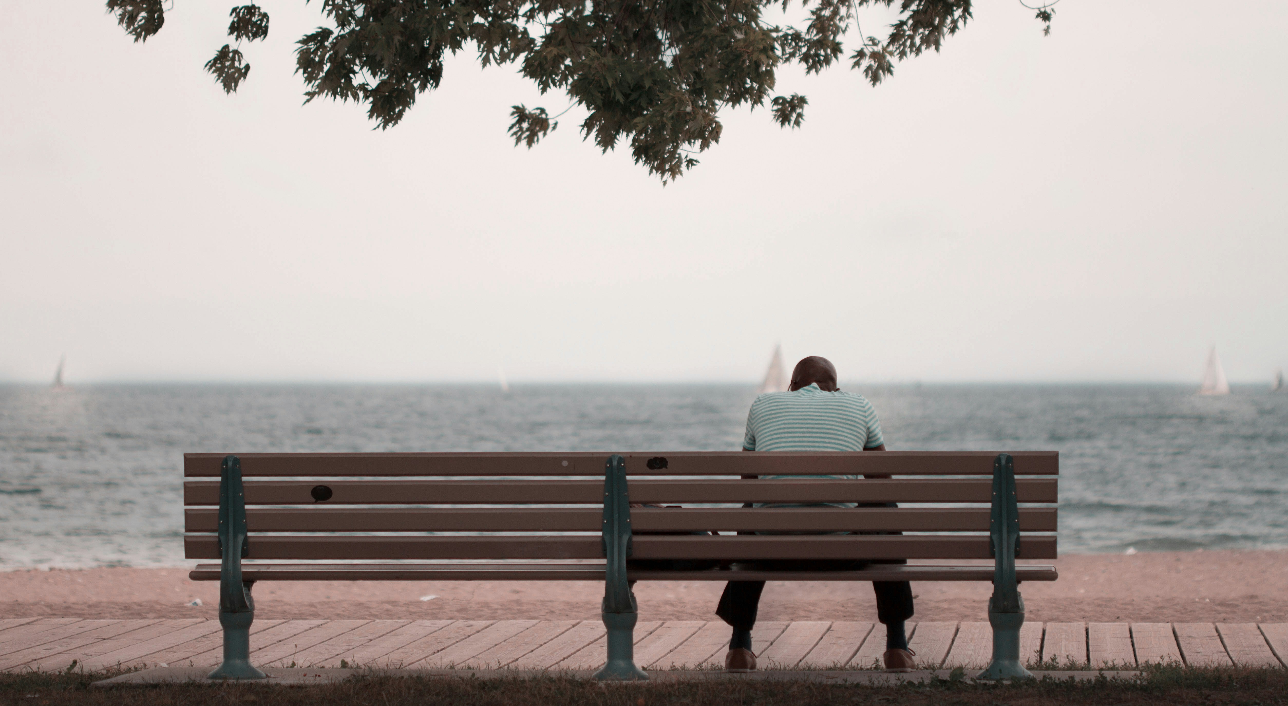 Free Unsplash photo from Tom Ezzatkhah