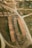 Aerial view of a lumber yard with neatly stacked rows of wooden logs on dirt roads, surrounded by patches of grass and open land. The logs are arranged in long, parallel lines beside intersecting pathways.