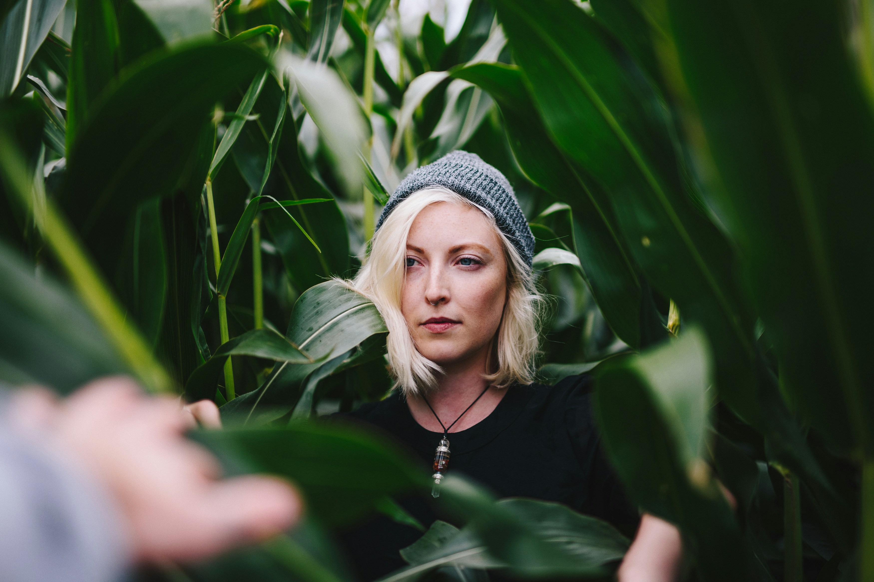 Free Unsplash photo from Felix Russell-Saw