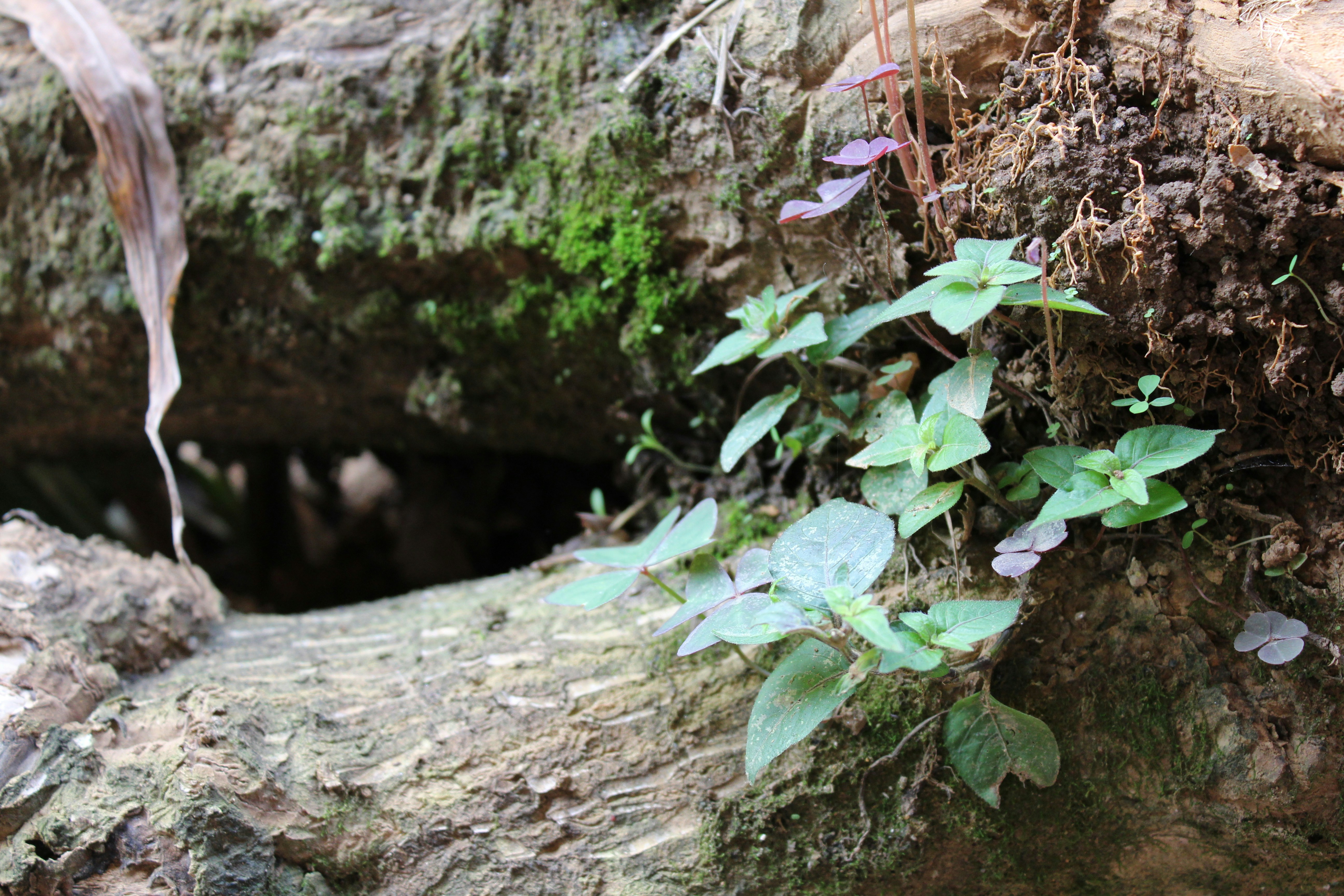 Free Unsplash photo from Jhon David